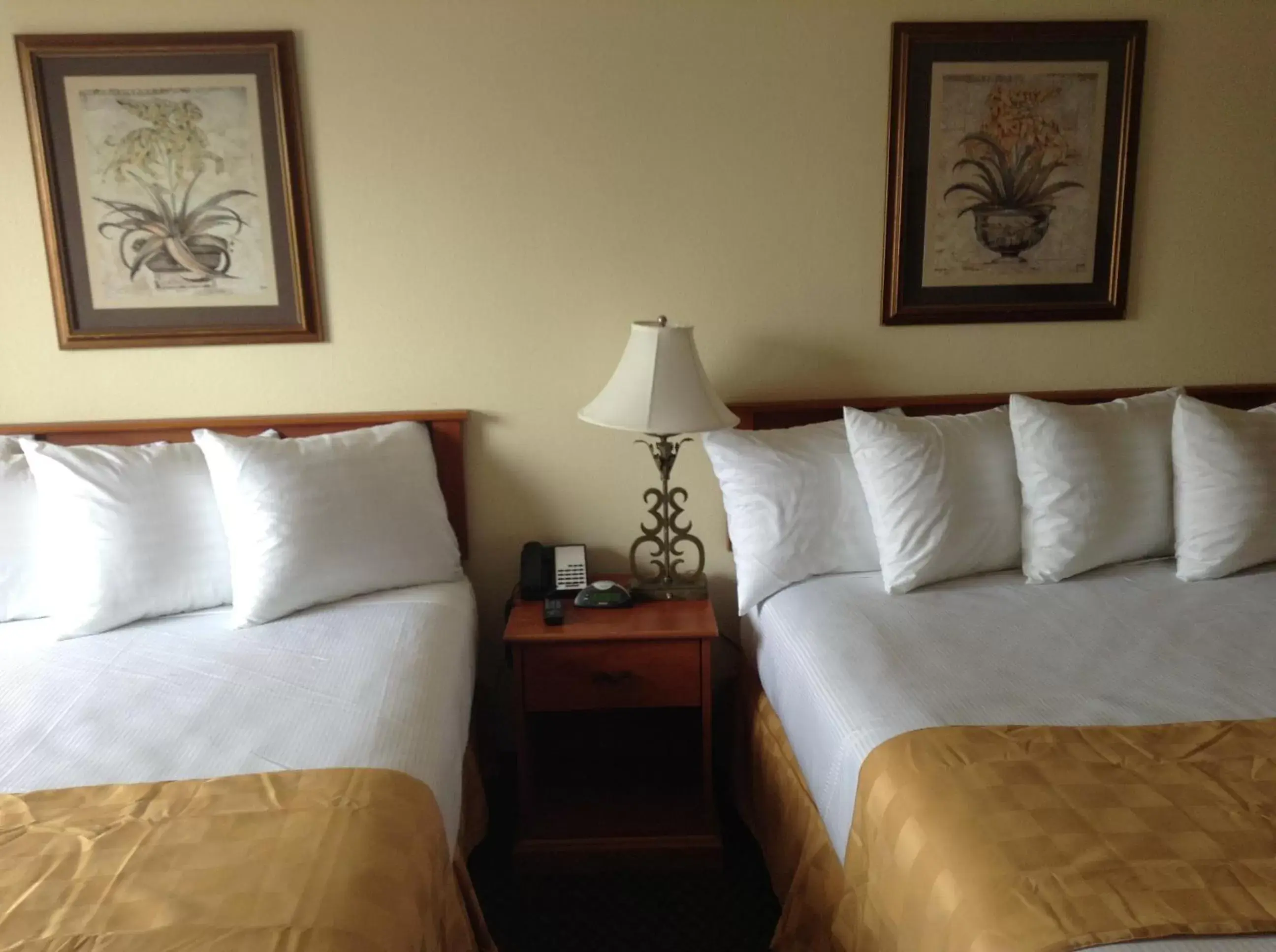 Bed in Best Inn & Suites