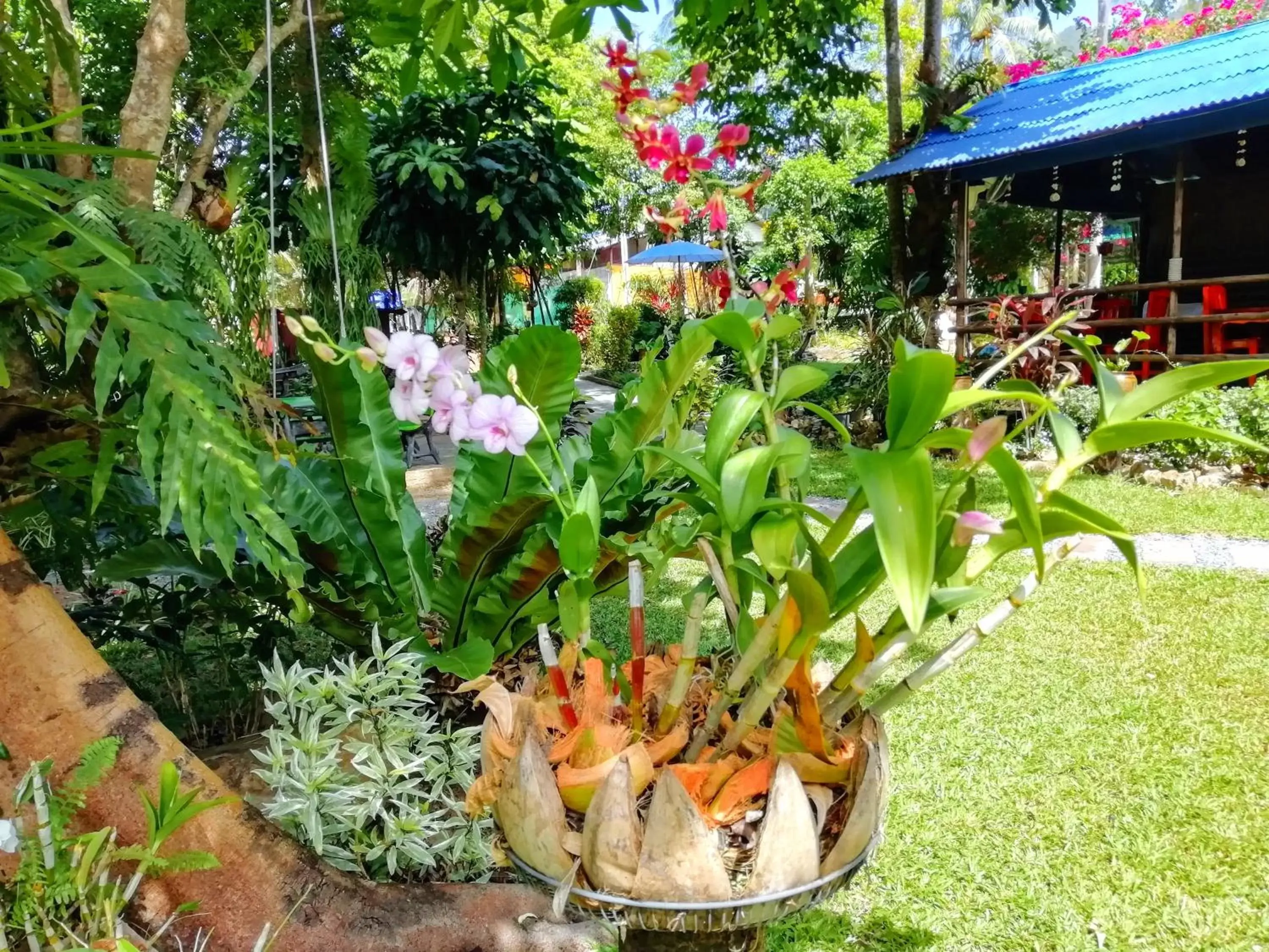 Garden in Macura Resort