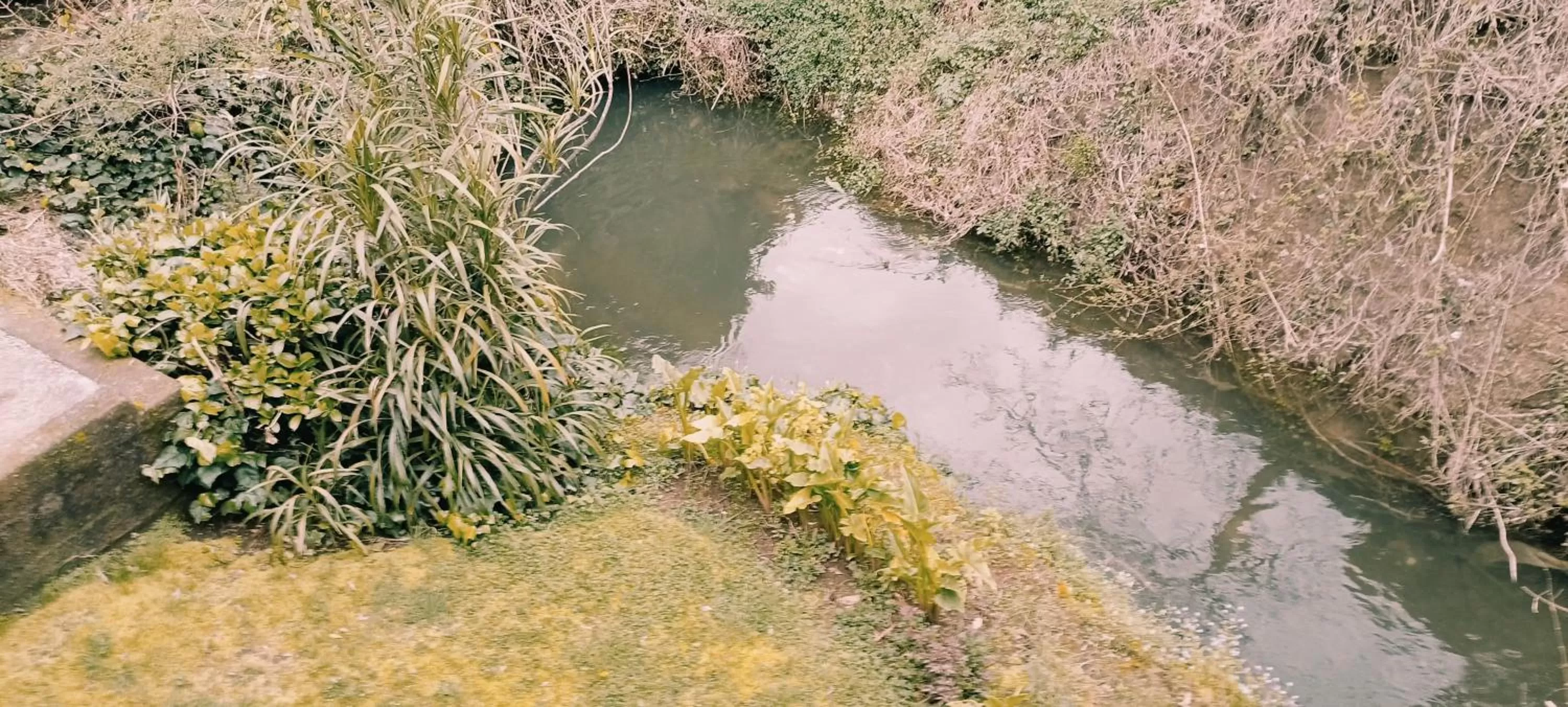 River view in Omi Kika B&B