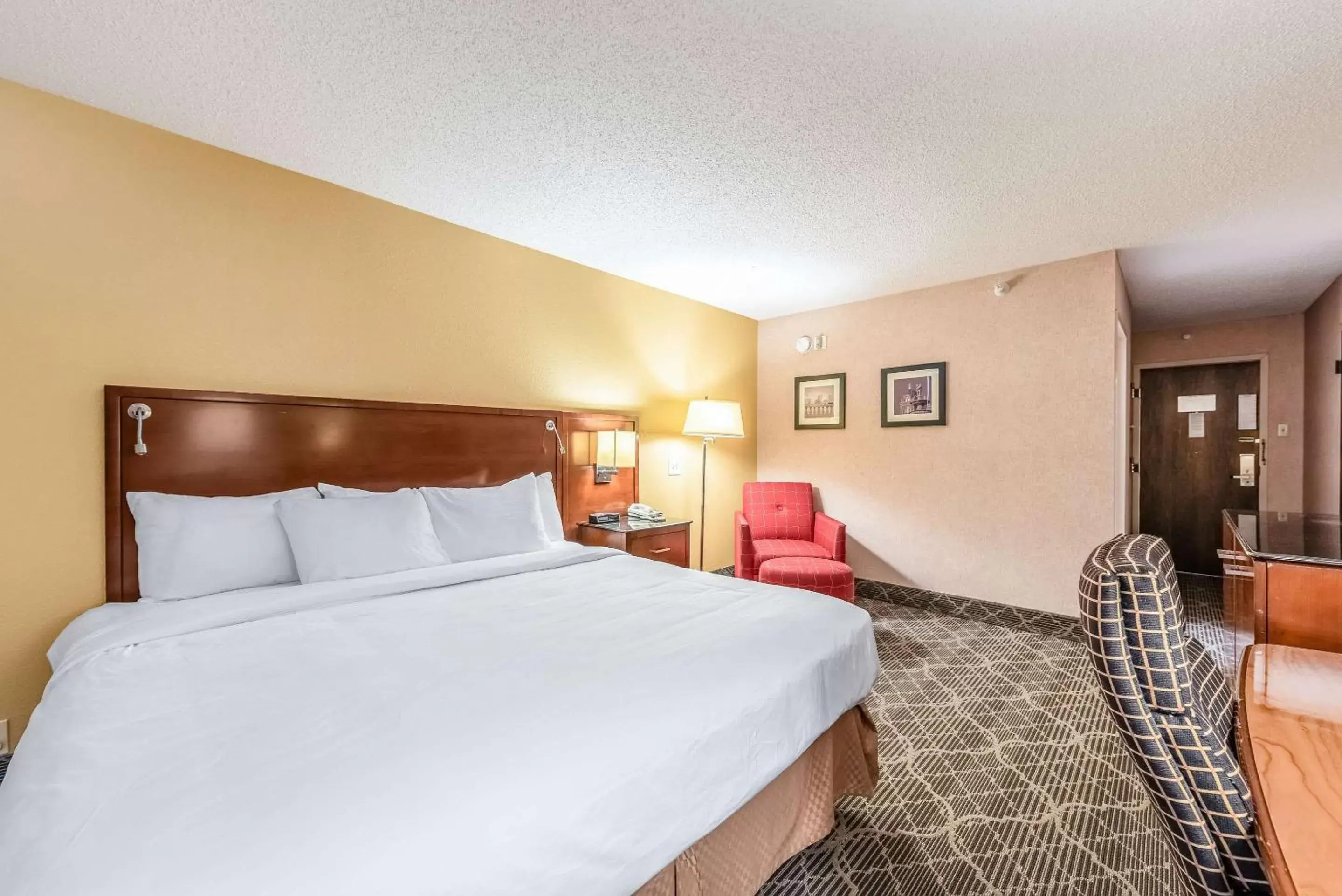 Photo of the whole room, Bed in Quality Inn & Suites