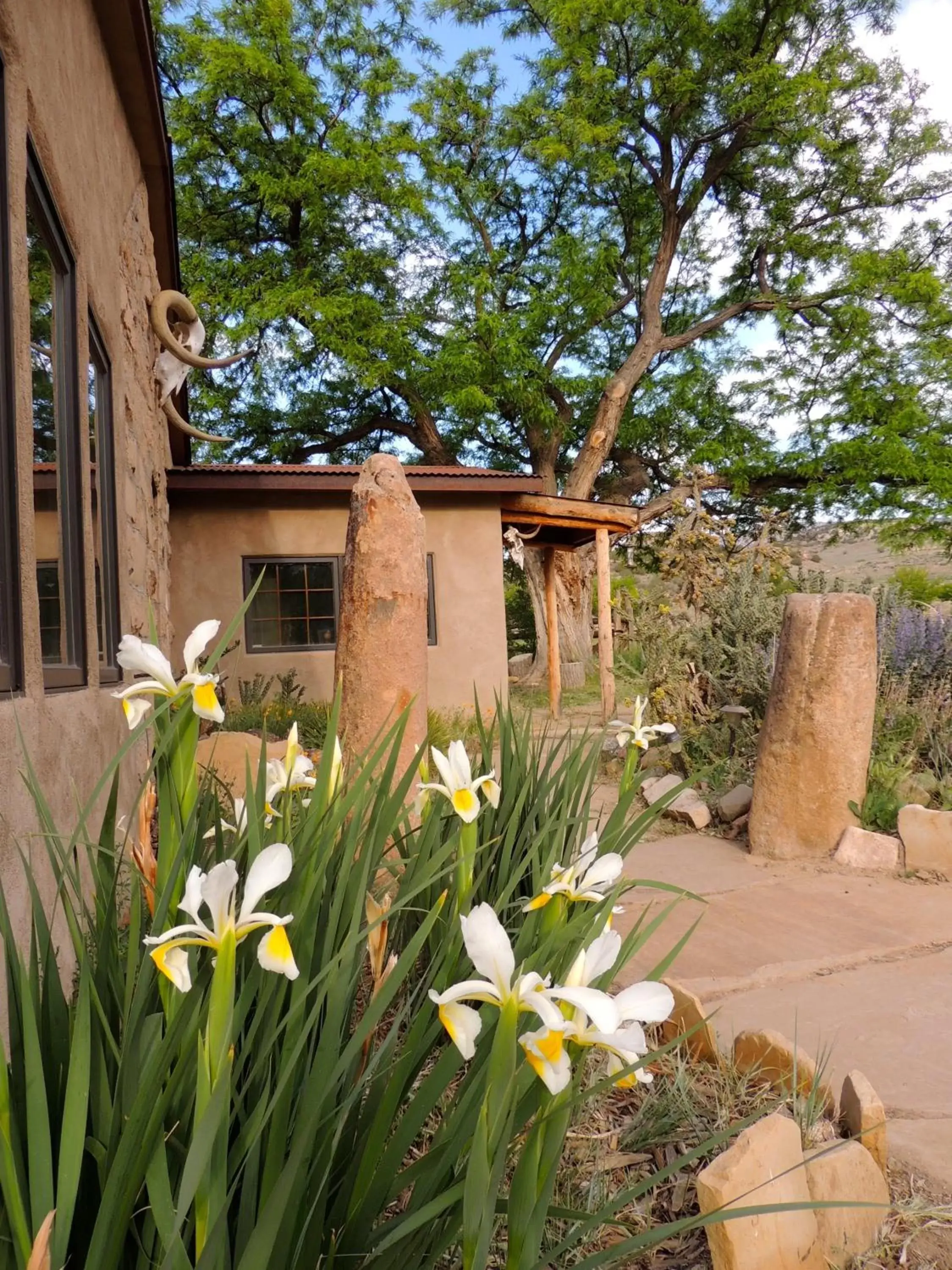 Day, Property Building in Canyon Of The Ancients Guest Ranch