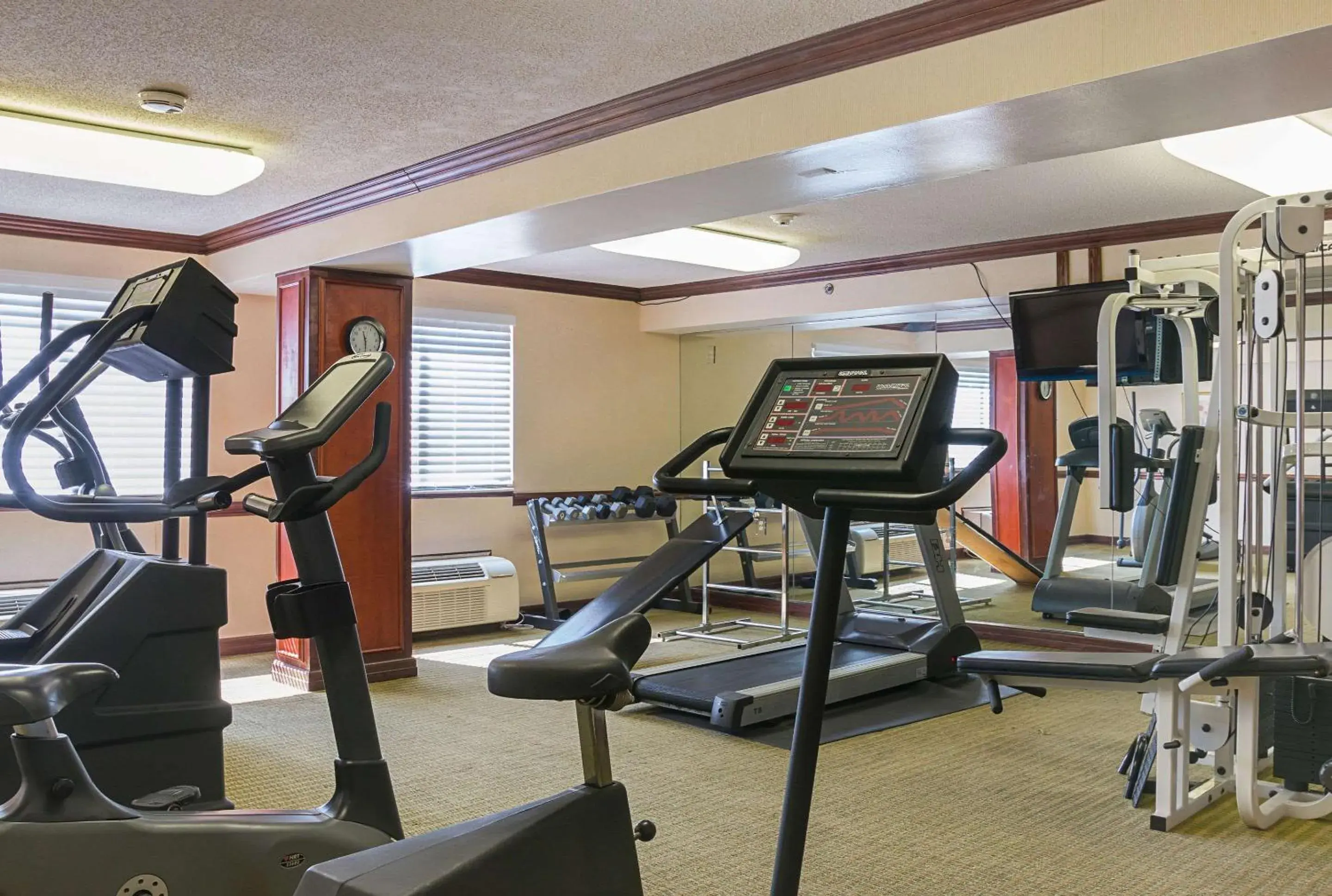 Fitness centre/facilities, Fitness Center/Facilities in Quality Inn & Suites Detroit Metro Airport