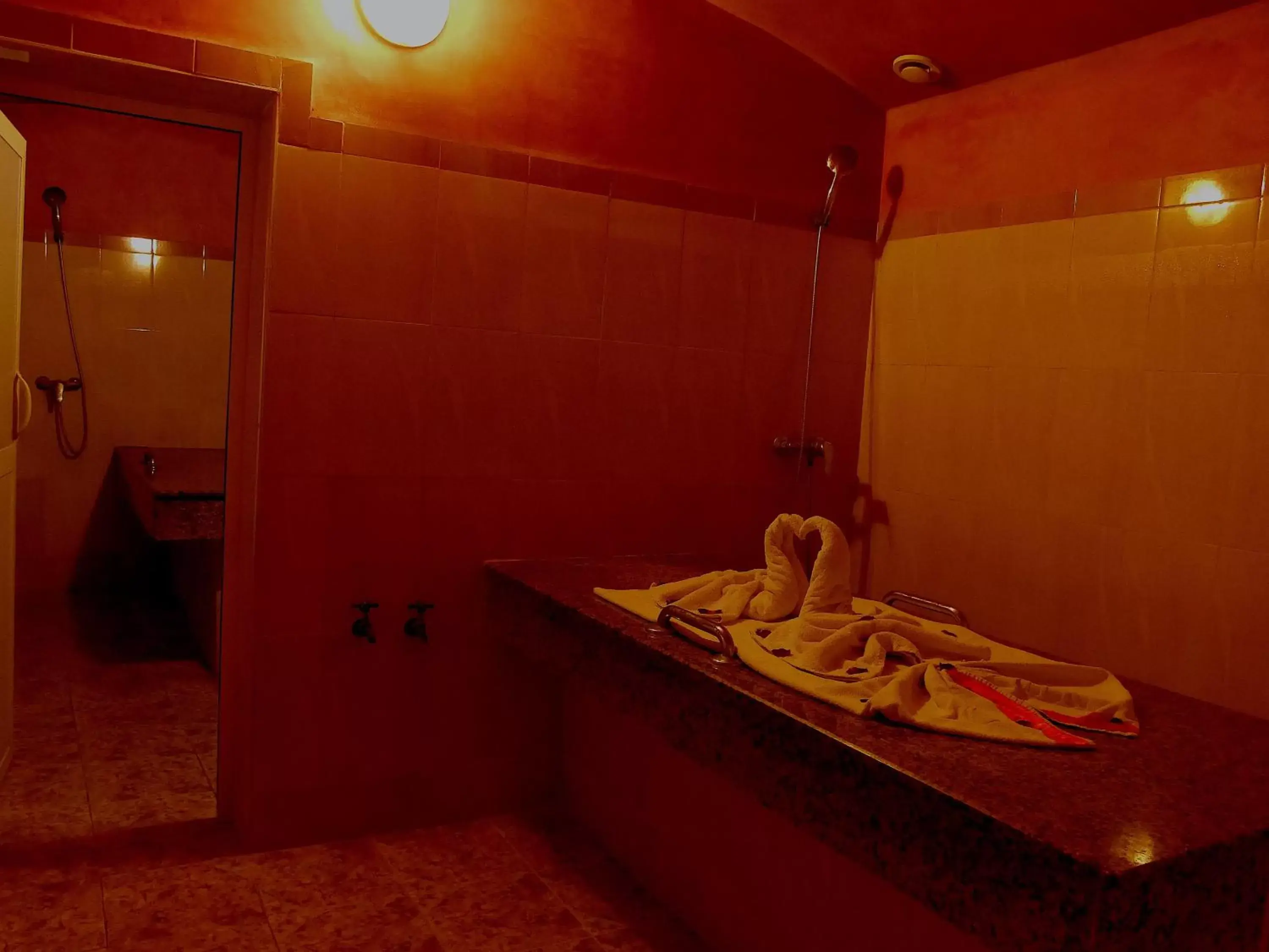 Day, Bathroom in Odyssee Park Hotel