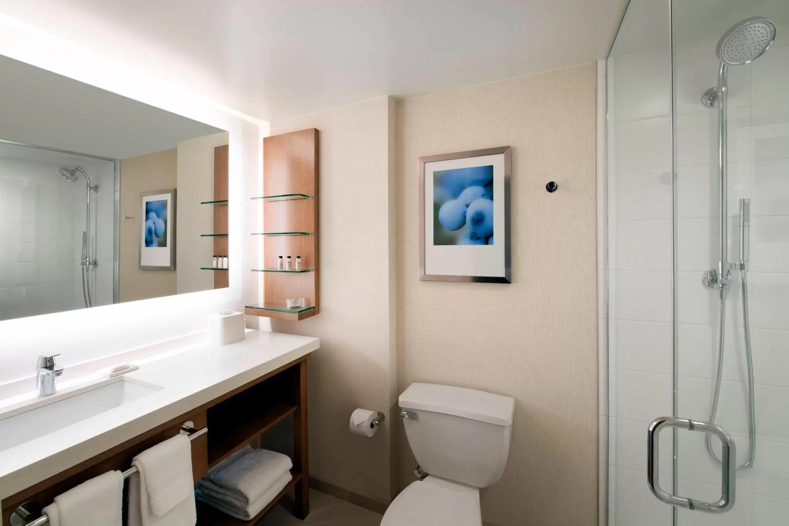 Bathroom in Delta Hotels by Marriott Seattle Everett