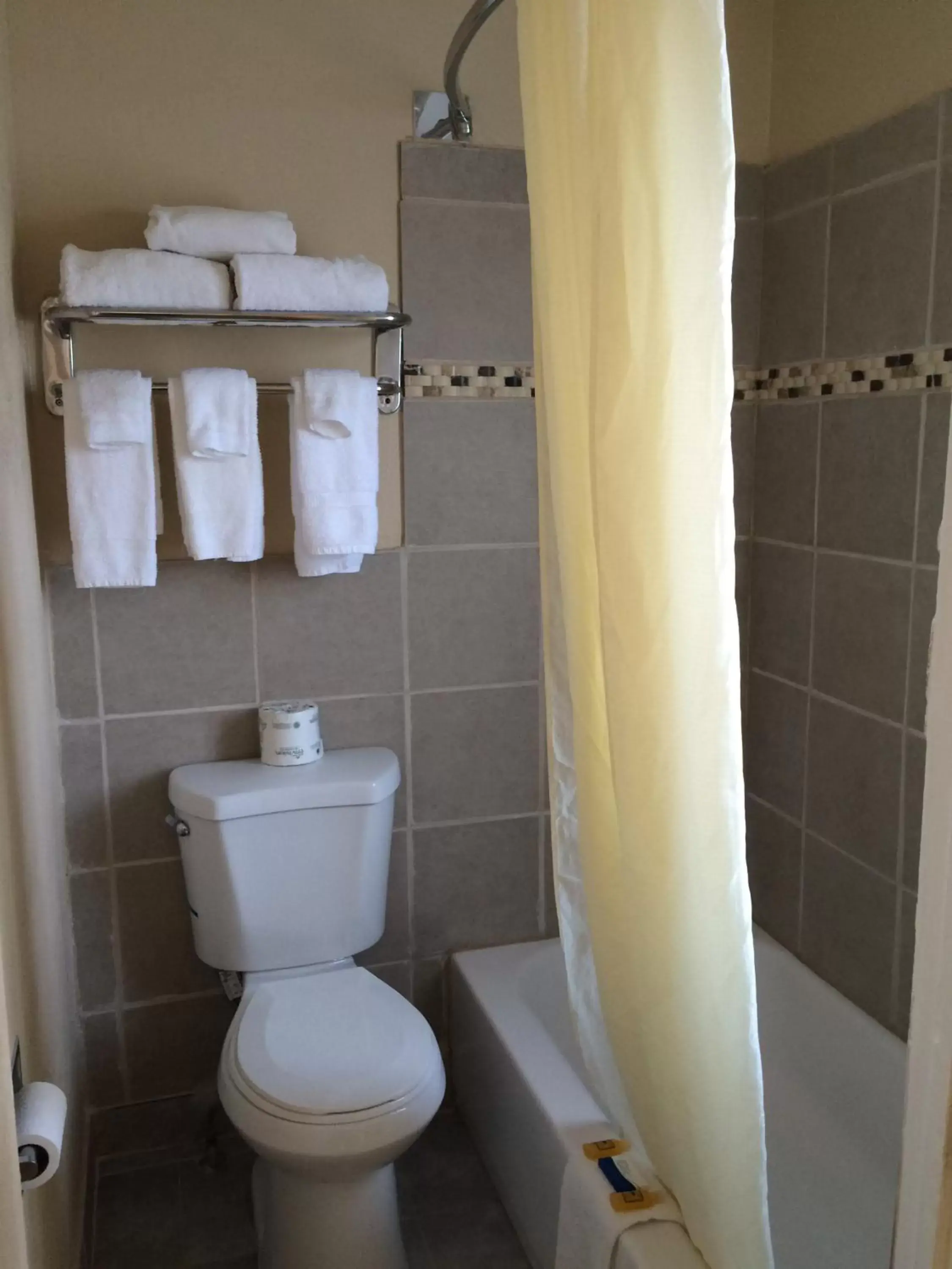 Shower, Bathroom in Alamo Motel