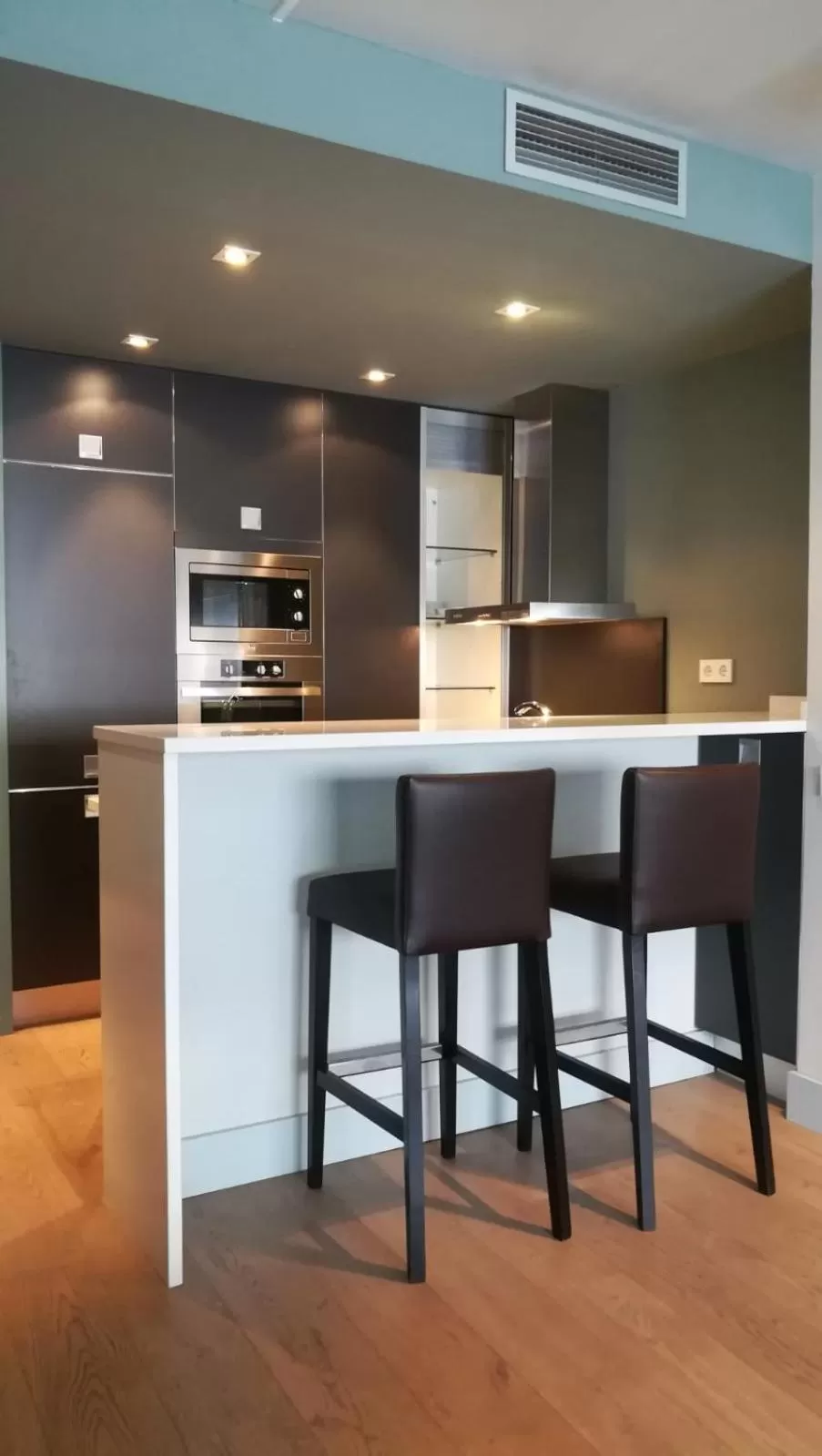 Kitchen or kitchenette in Apartamentos Recoletos