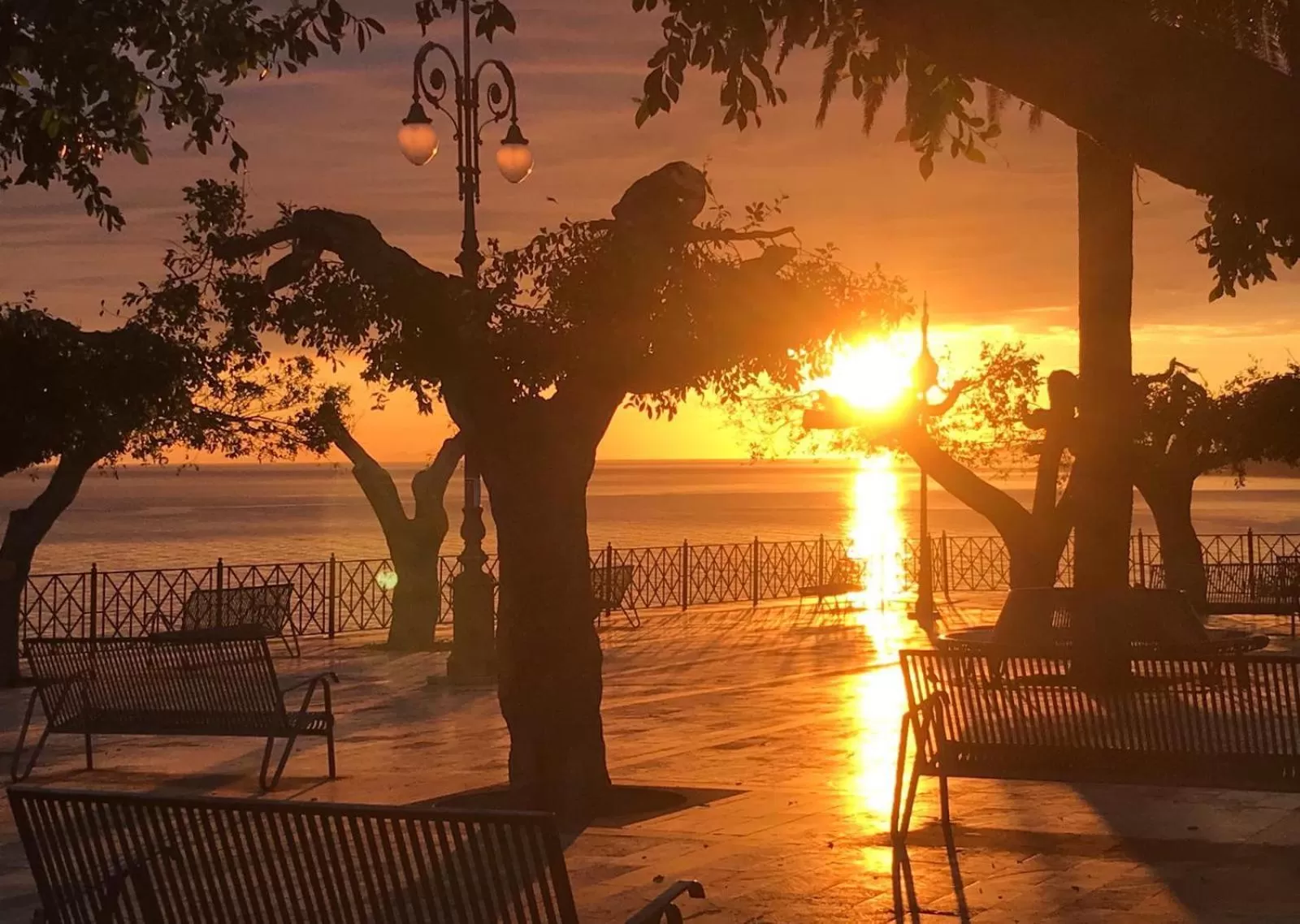 Other in THE PALACE B&B and Apartments