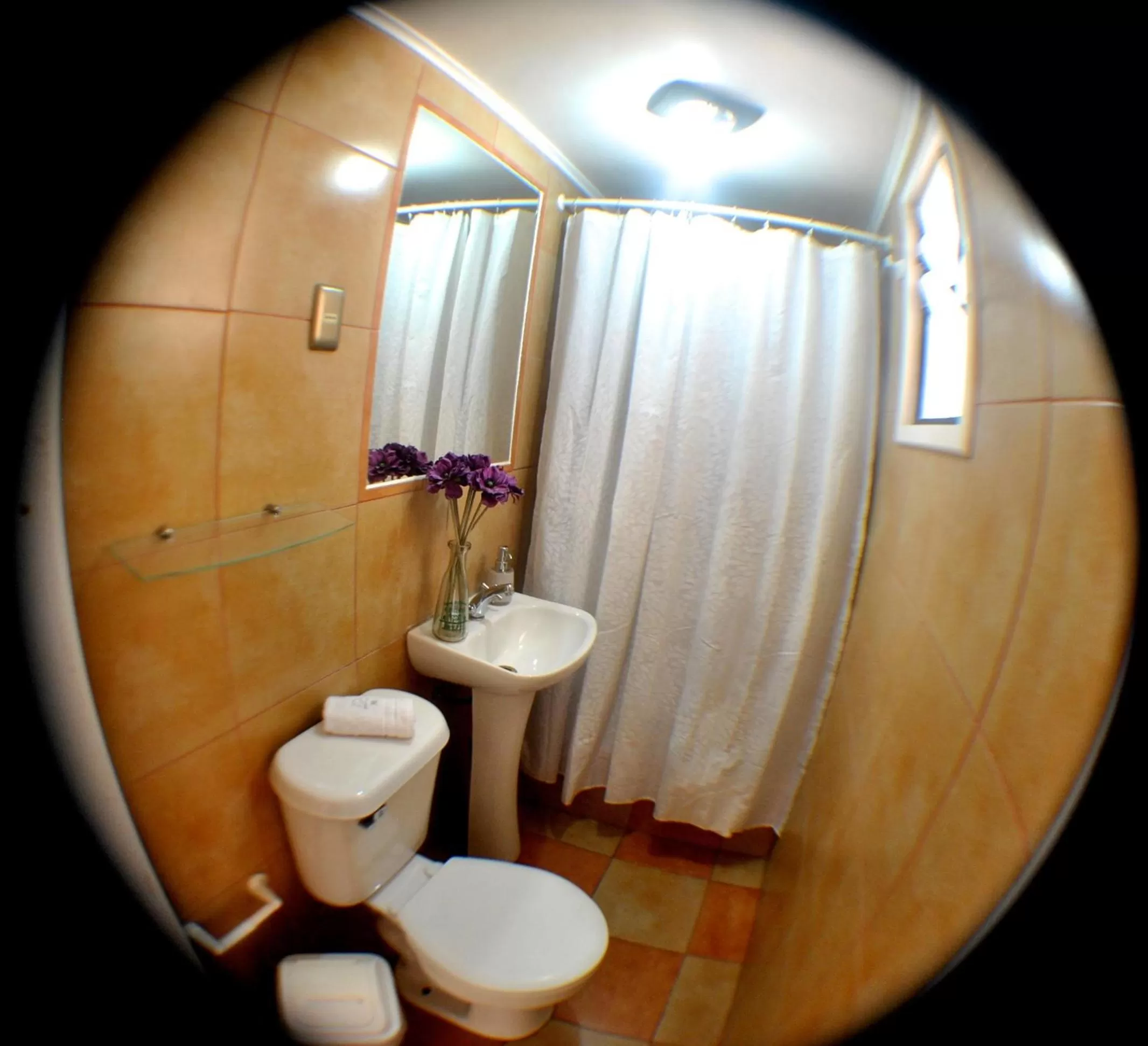 Hotel Boutique Molzano