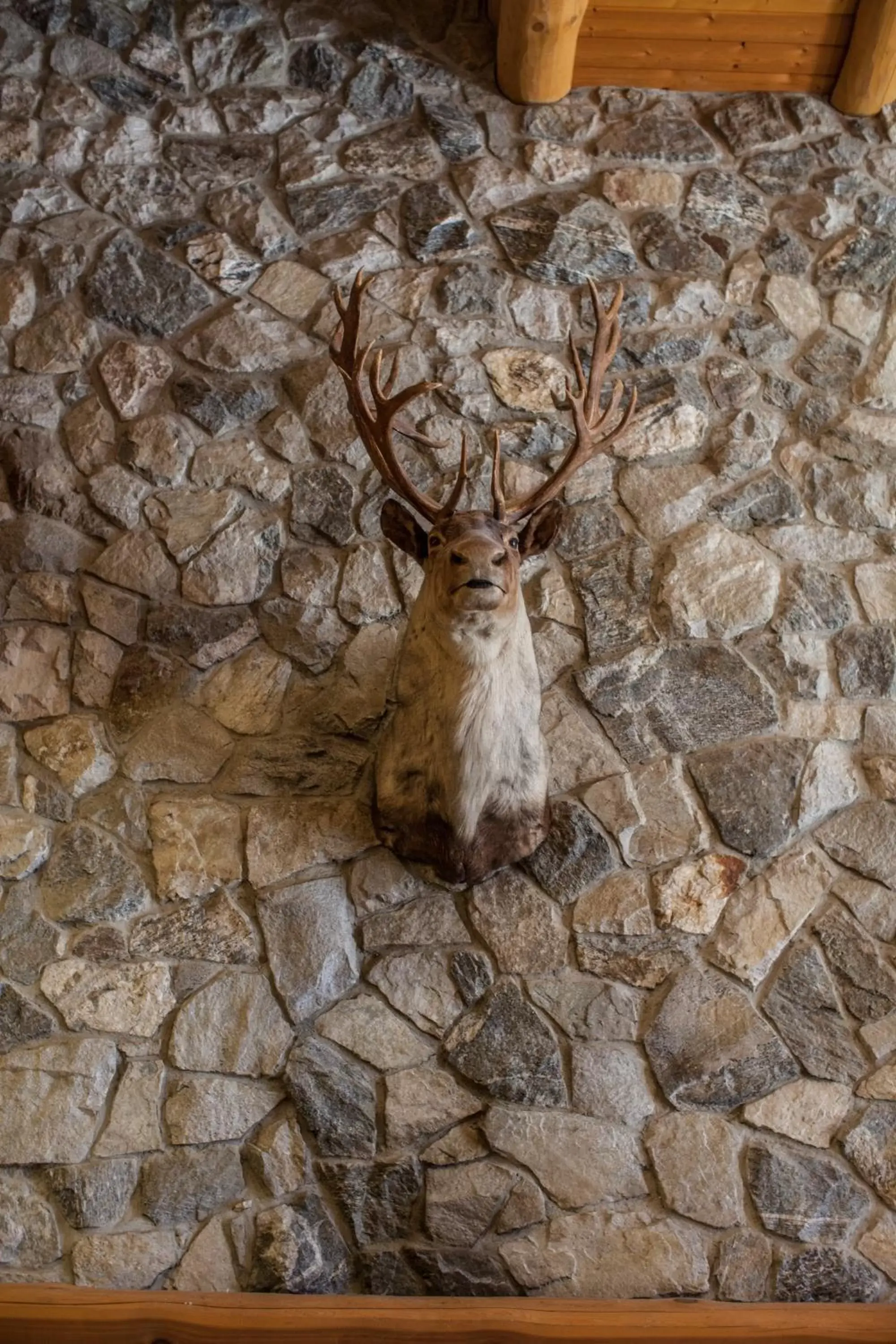 Lobby or reception, Other Animals in Coast Hillcrest Hotel