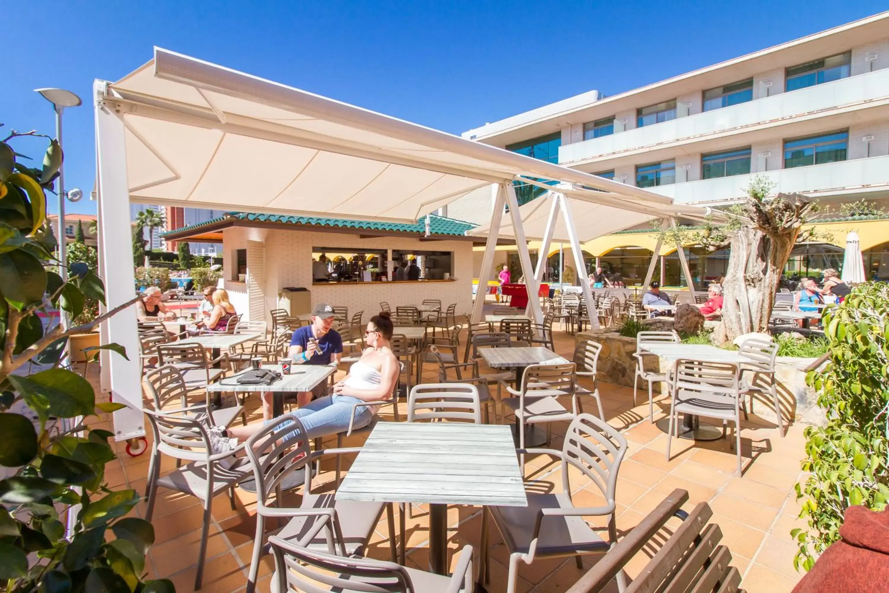 Patio, Restaurant/Places to Eat in Hotel Mediterraneo