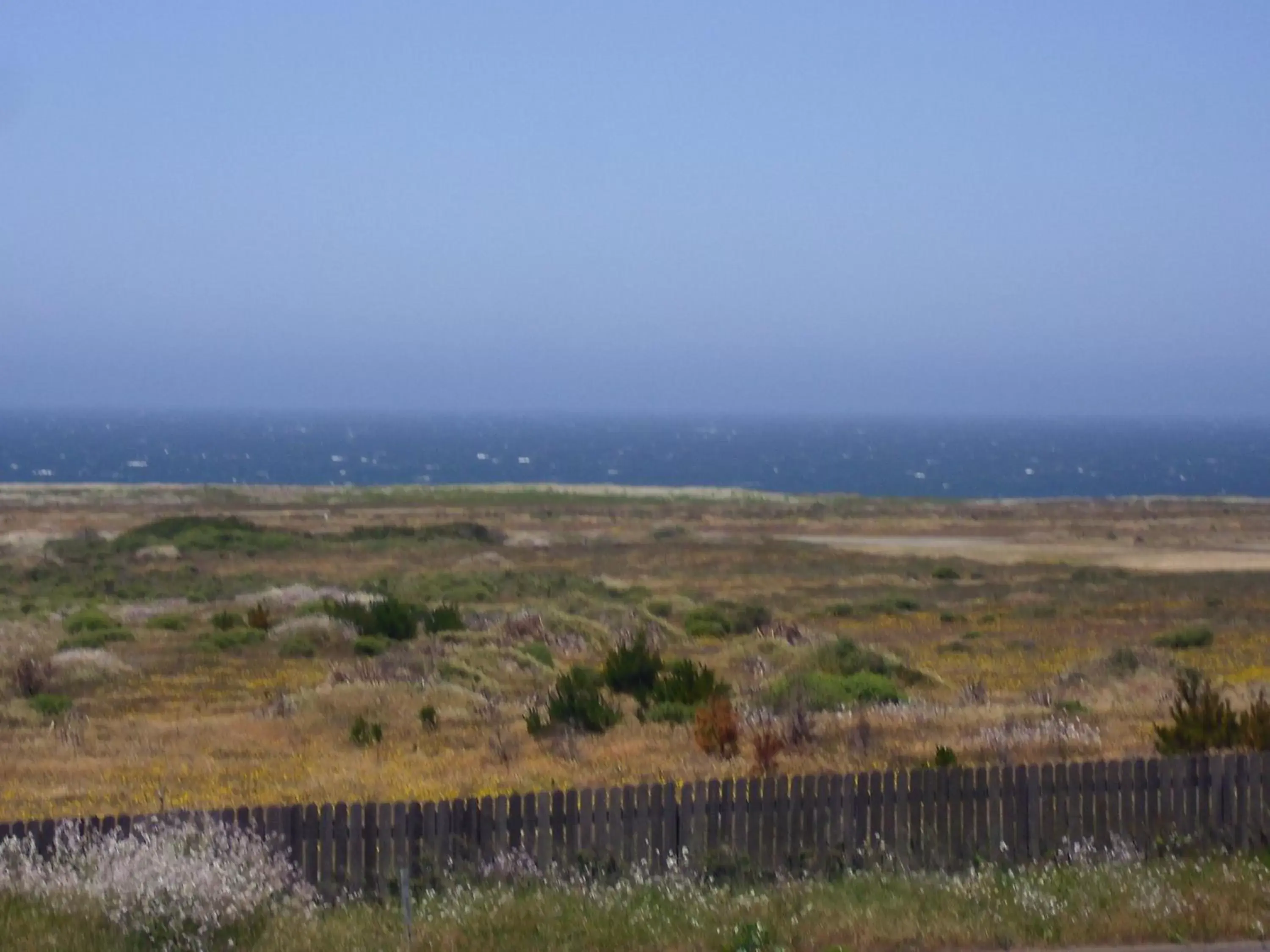 View (from property/room) in Super 8 by Wyndham Fort Bragg