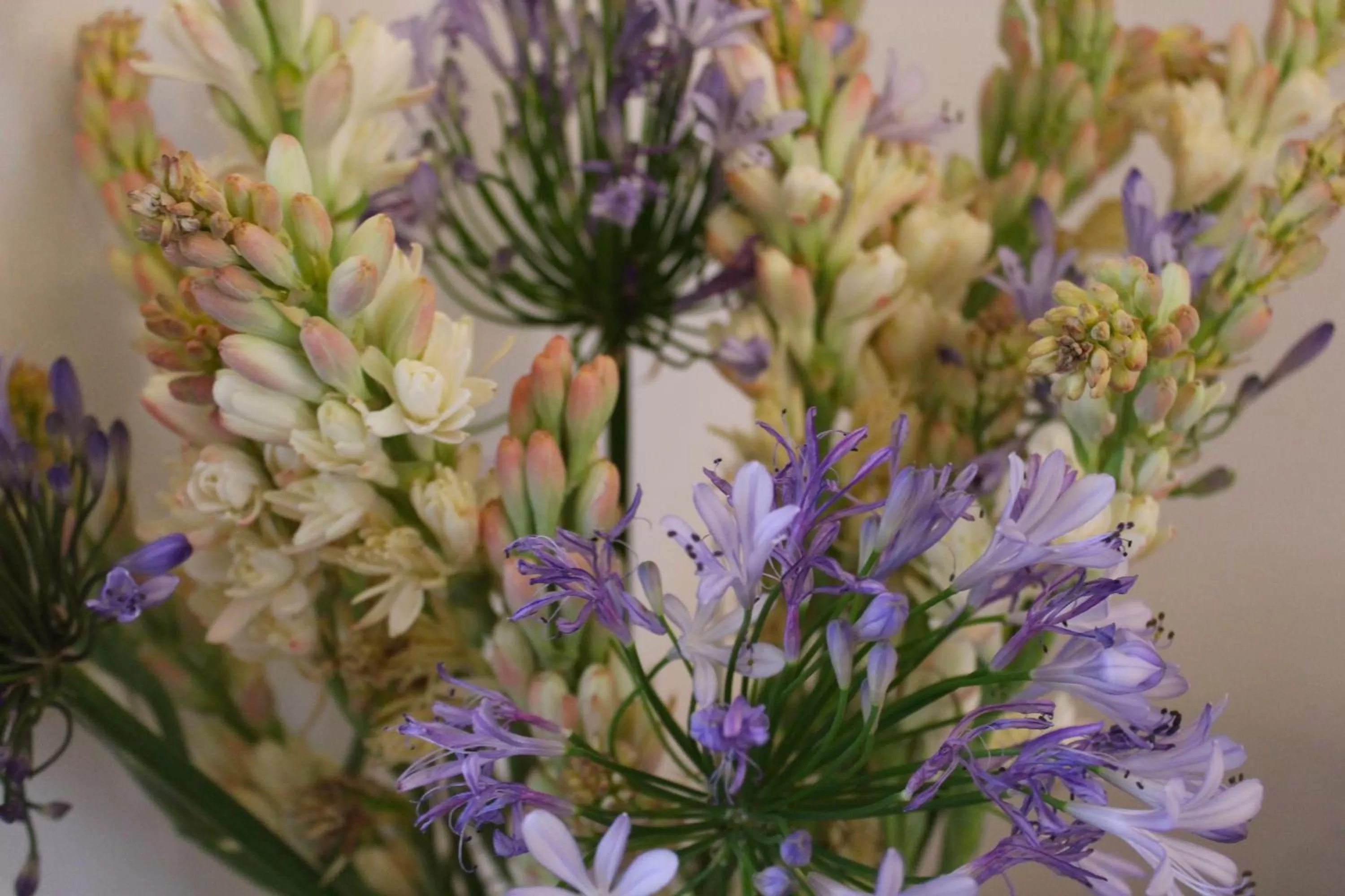 Decorative detail in Casa Comtesse