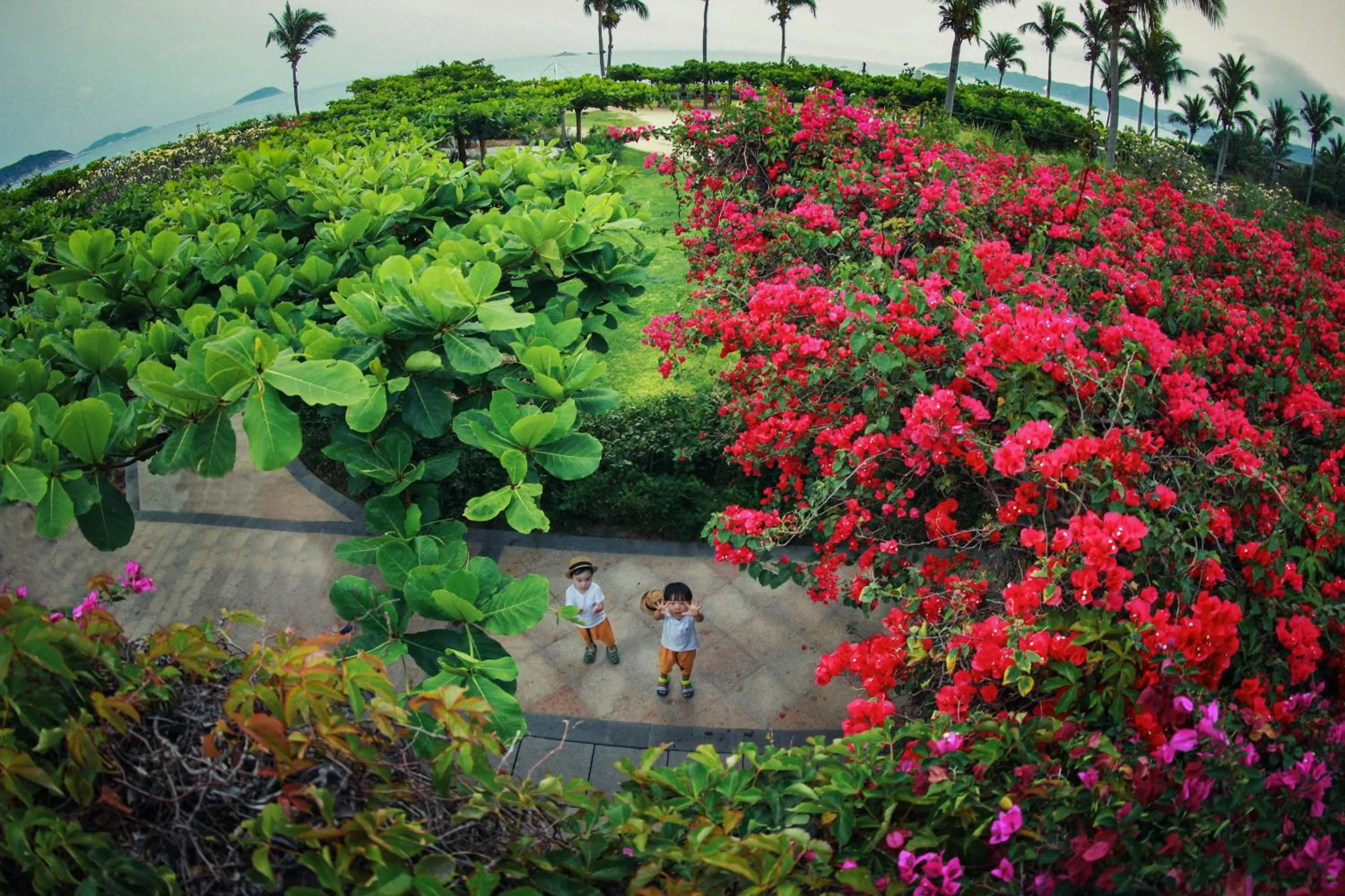 Natural landscape in Horizon Resort & Spa Yalong Bay-Yalong Bay Central