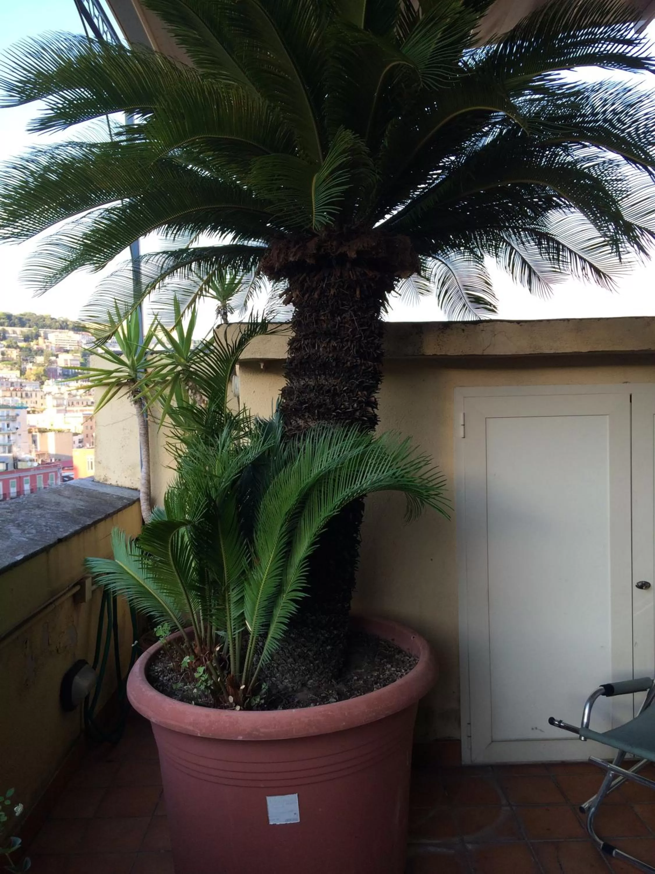 Balcony/Terrace in B&B Casamiranapoli