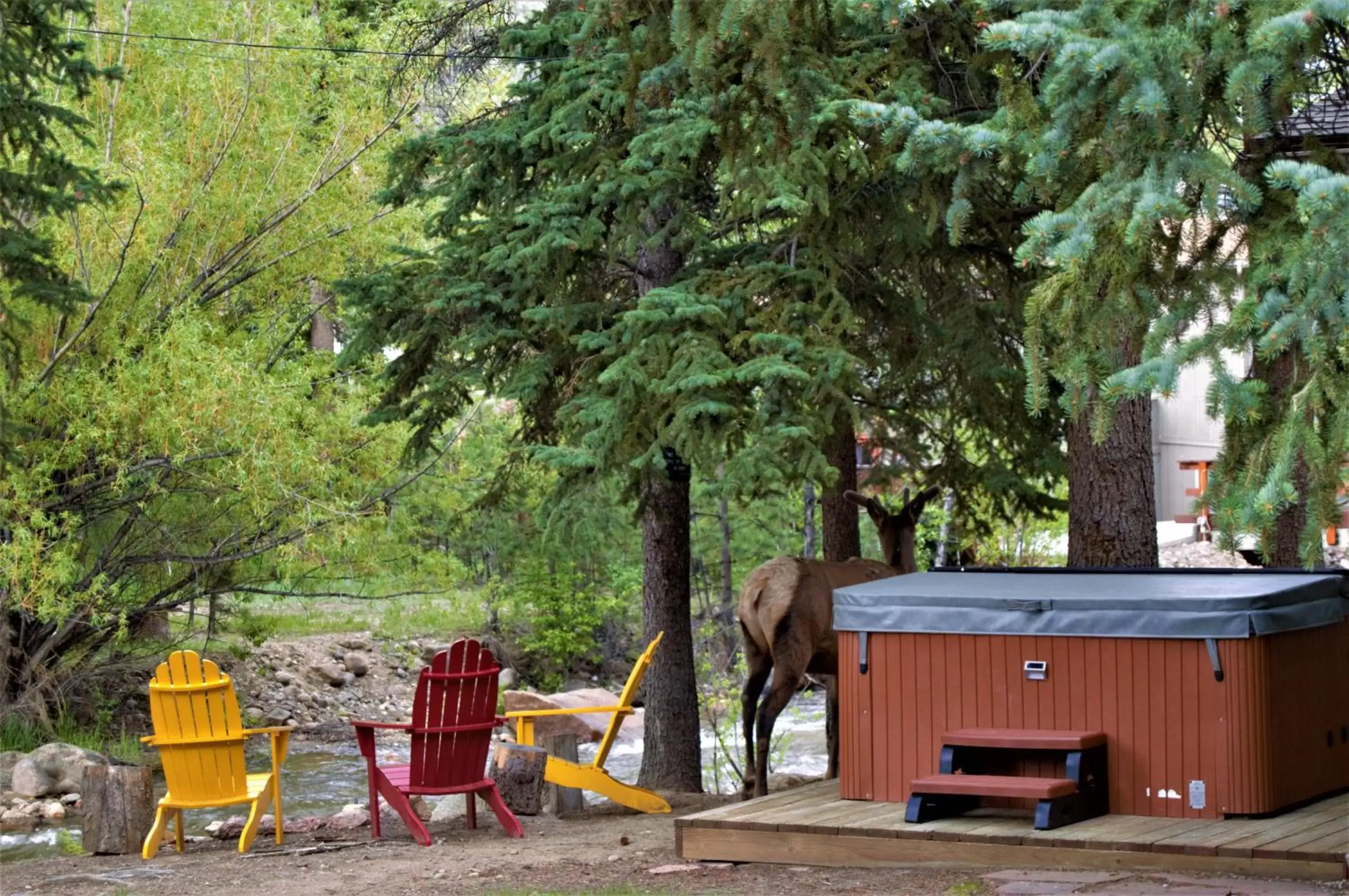 River view in The Inn on Fall River & Fall River Cabins