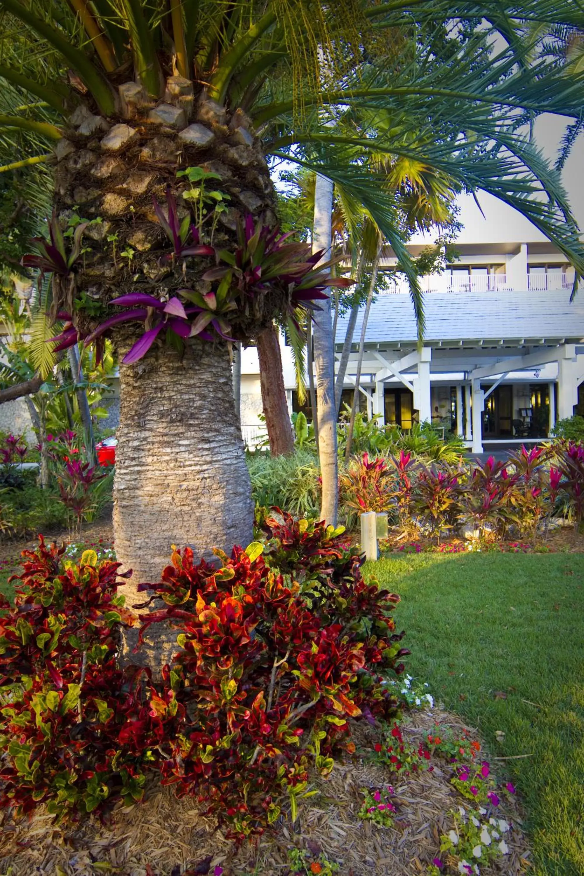 Garden in Hawks Cay Resort