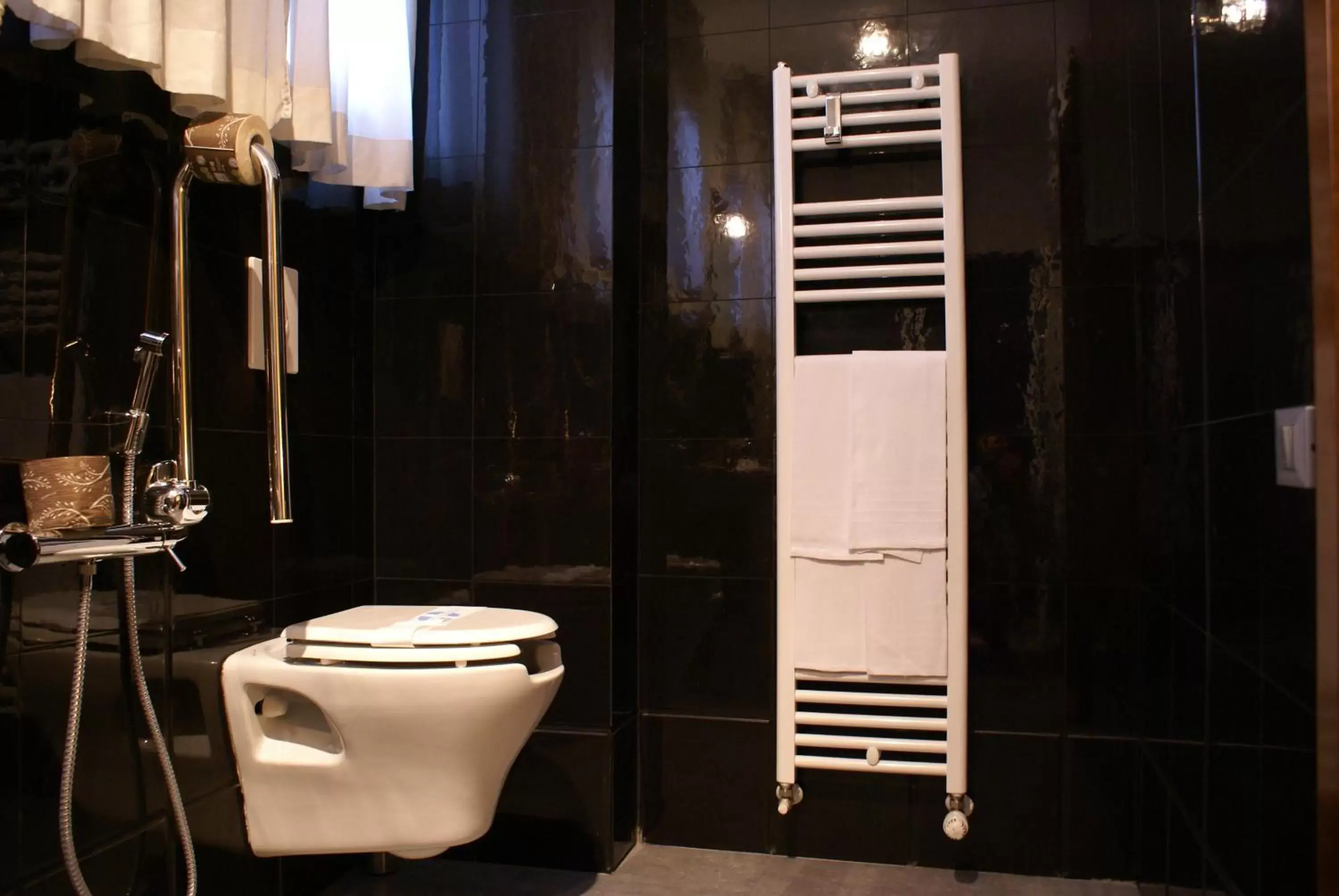 Shower in Hotel Carlton Shower in Hotel Carlton