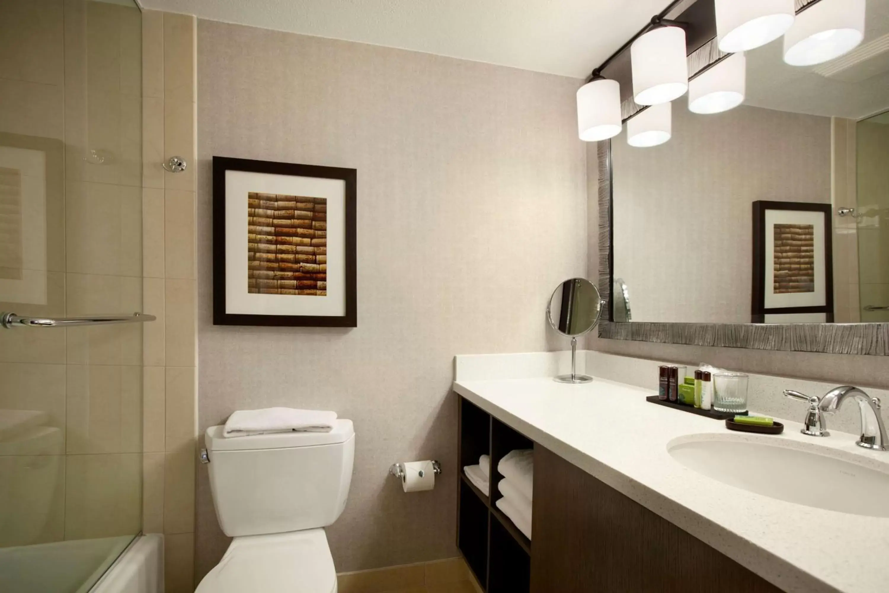 Bathroom in Embassy Suites by Hilton Napa Valley