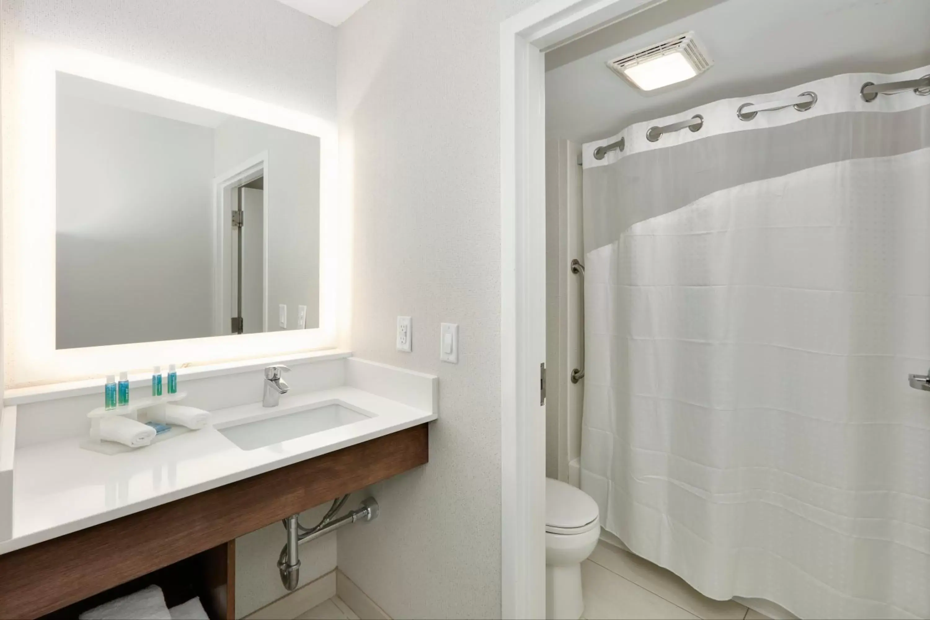 Bathroom in Holiday Inn Express Hotel & Suites - Irving Convention Center - Las Colinas, an IHG Hotel