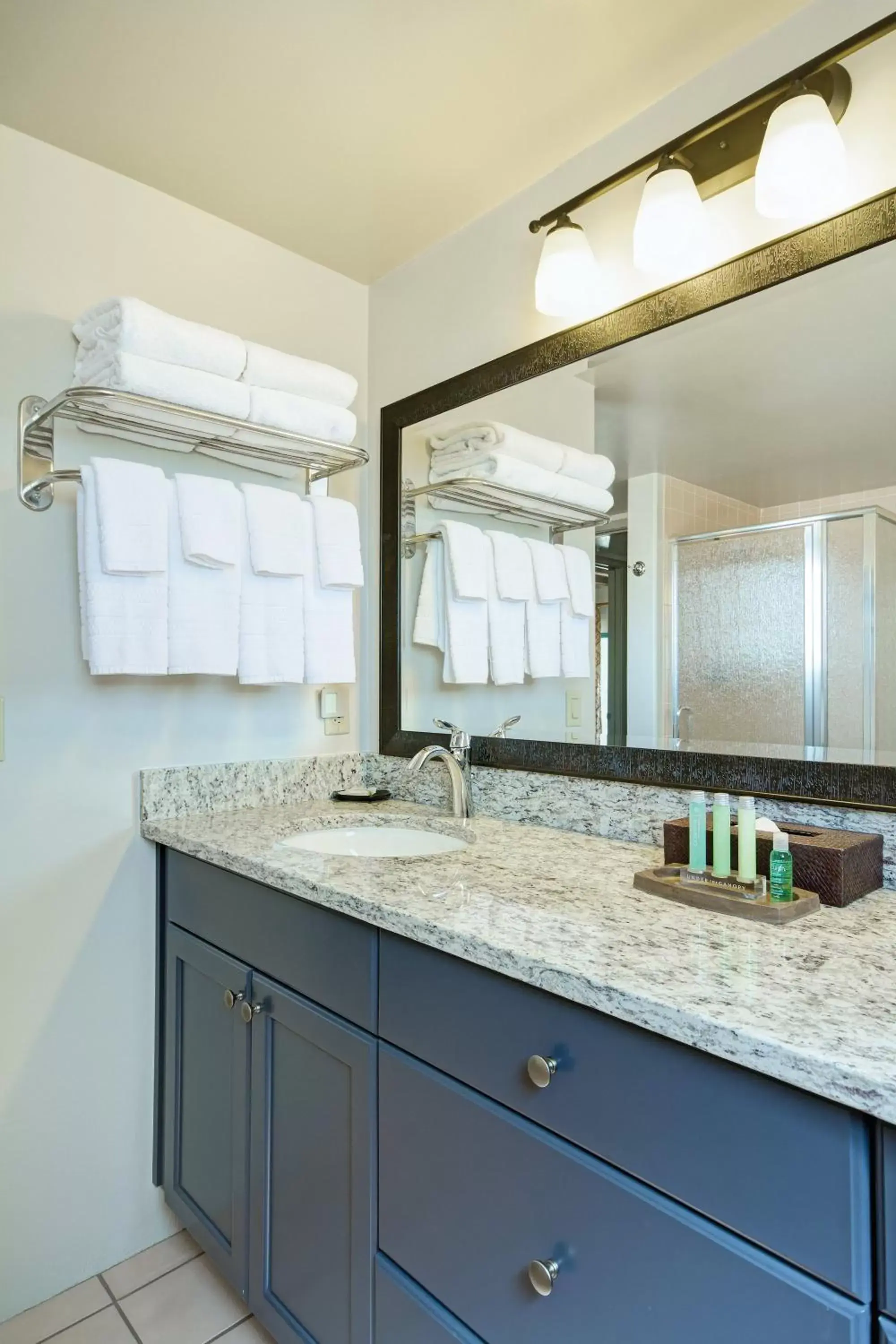 Bathroom in Starr Pass Golf Suites