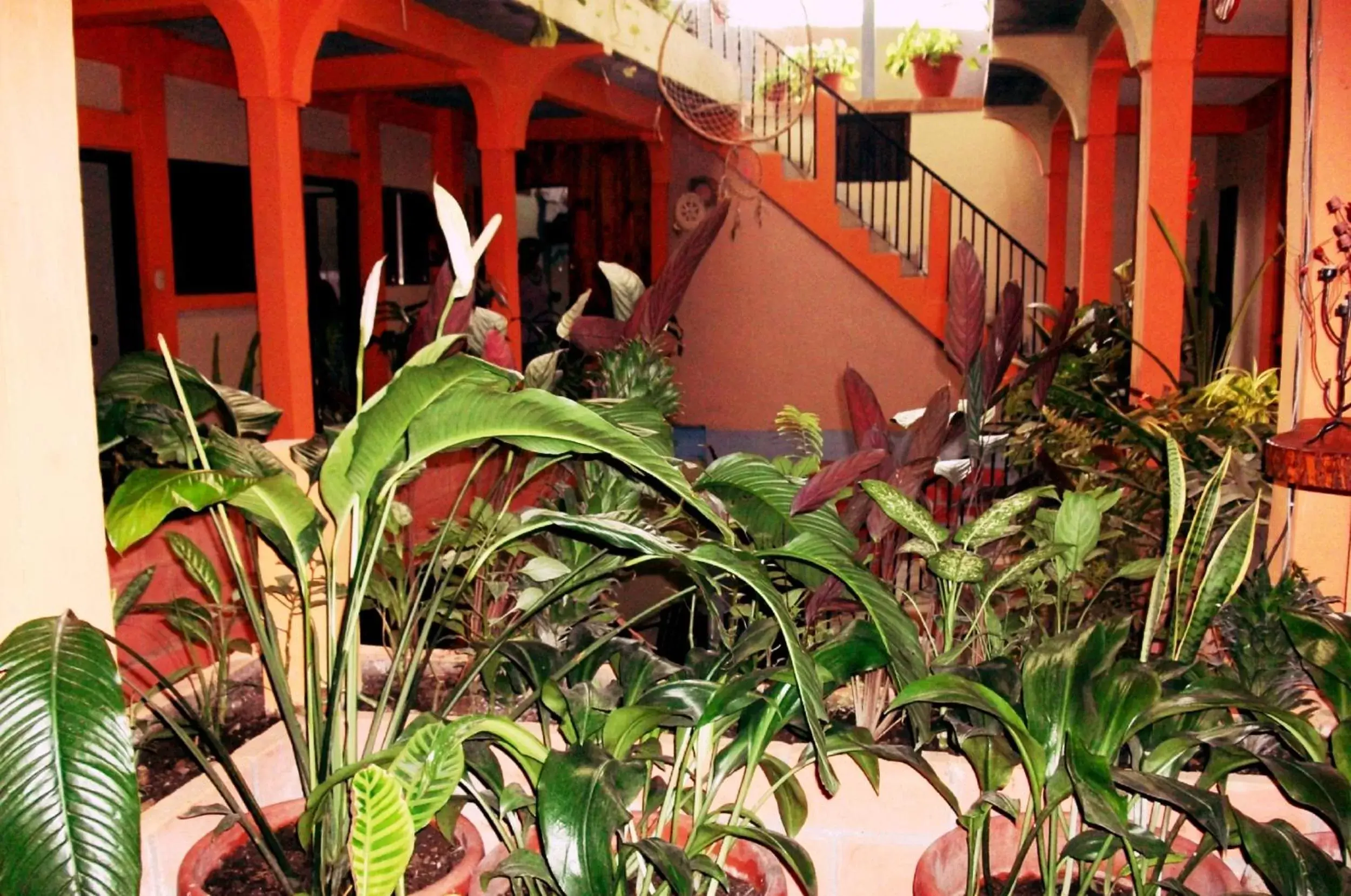 Twin Room in Hotel & Hostal Yaxkin Copan Twin Room in Hotel & Hostal Yaxkin Copan