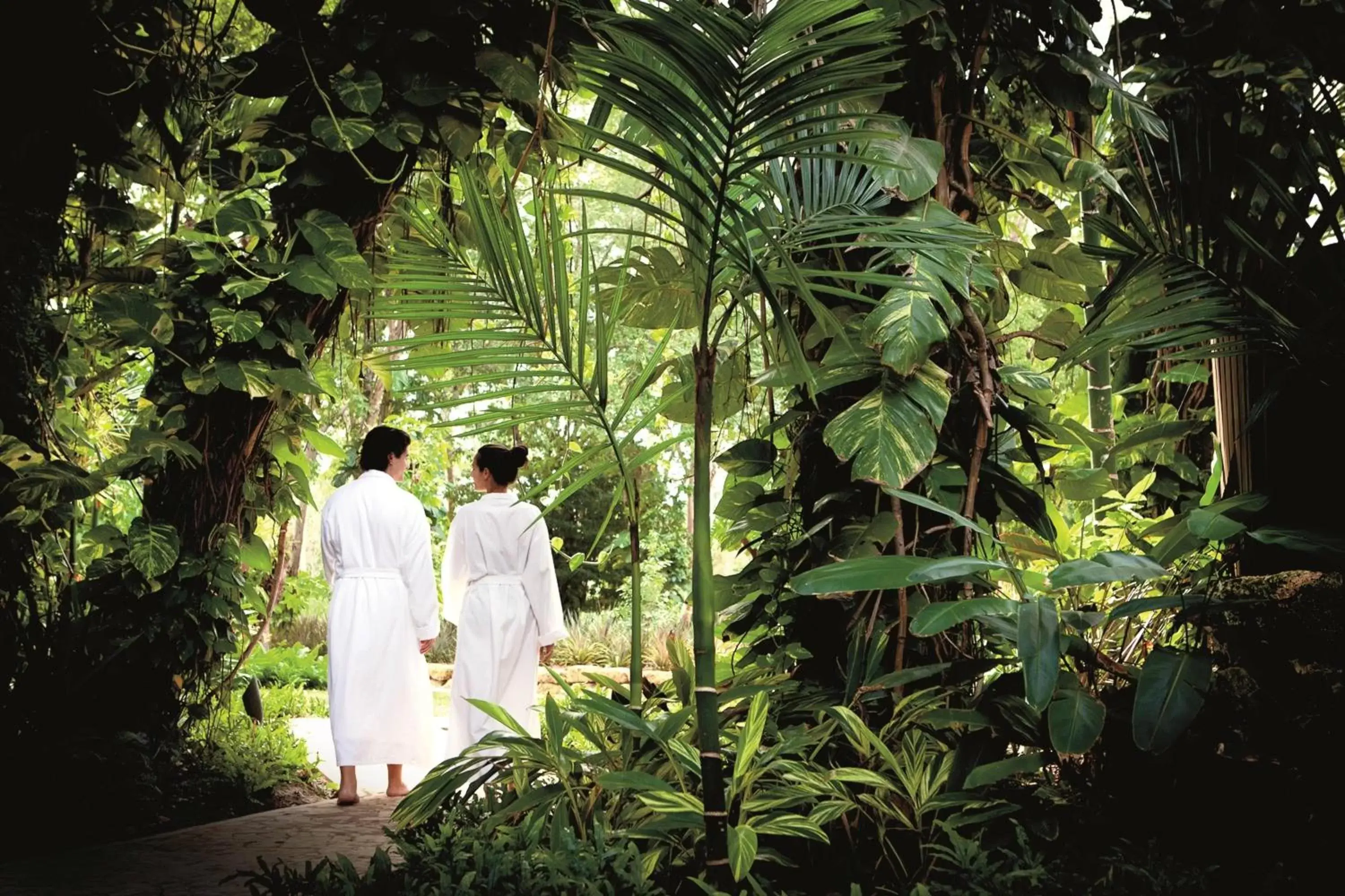 Spa and wellness centre/facilities in Dorado Beach, a Ritz-Carlton Reserve