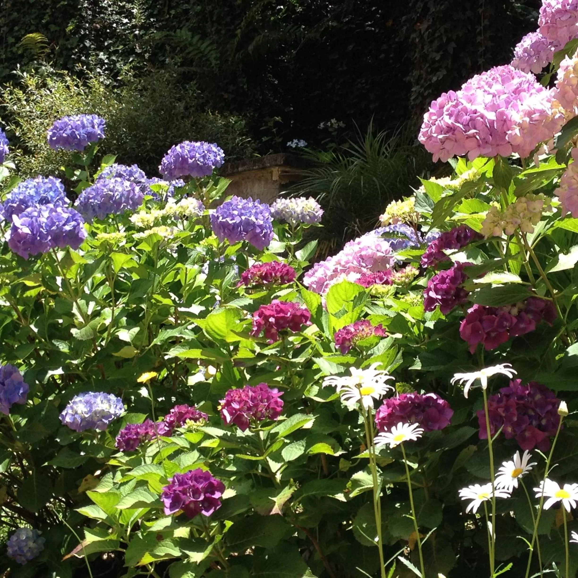 Garden in Pousada Ricanto Amore Mio