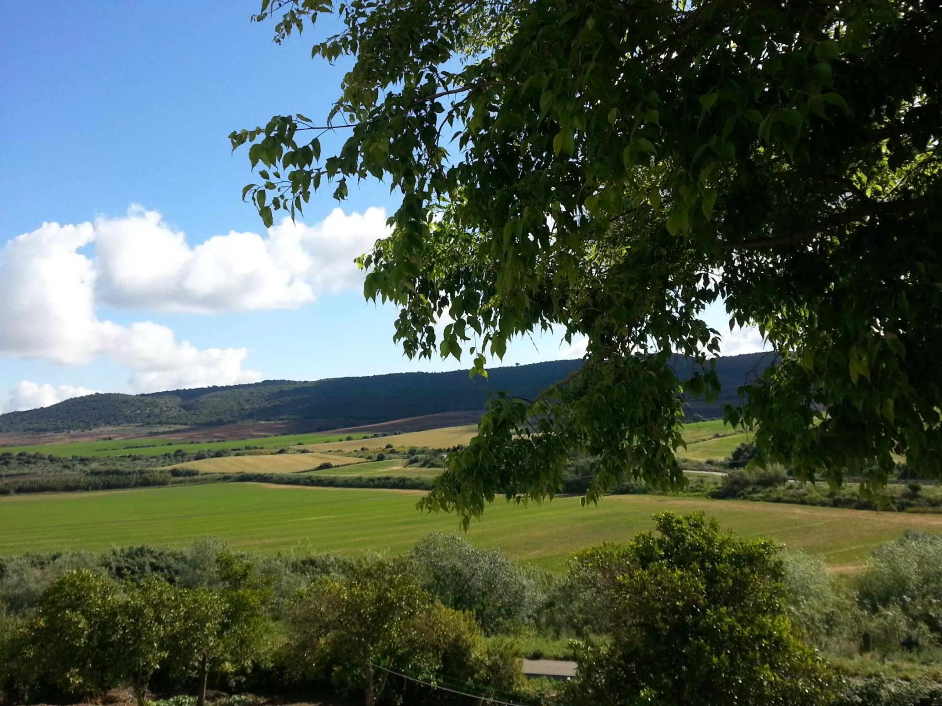 Garden in Hacienda El Santiscal Adults Only