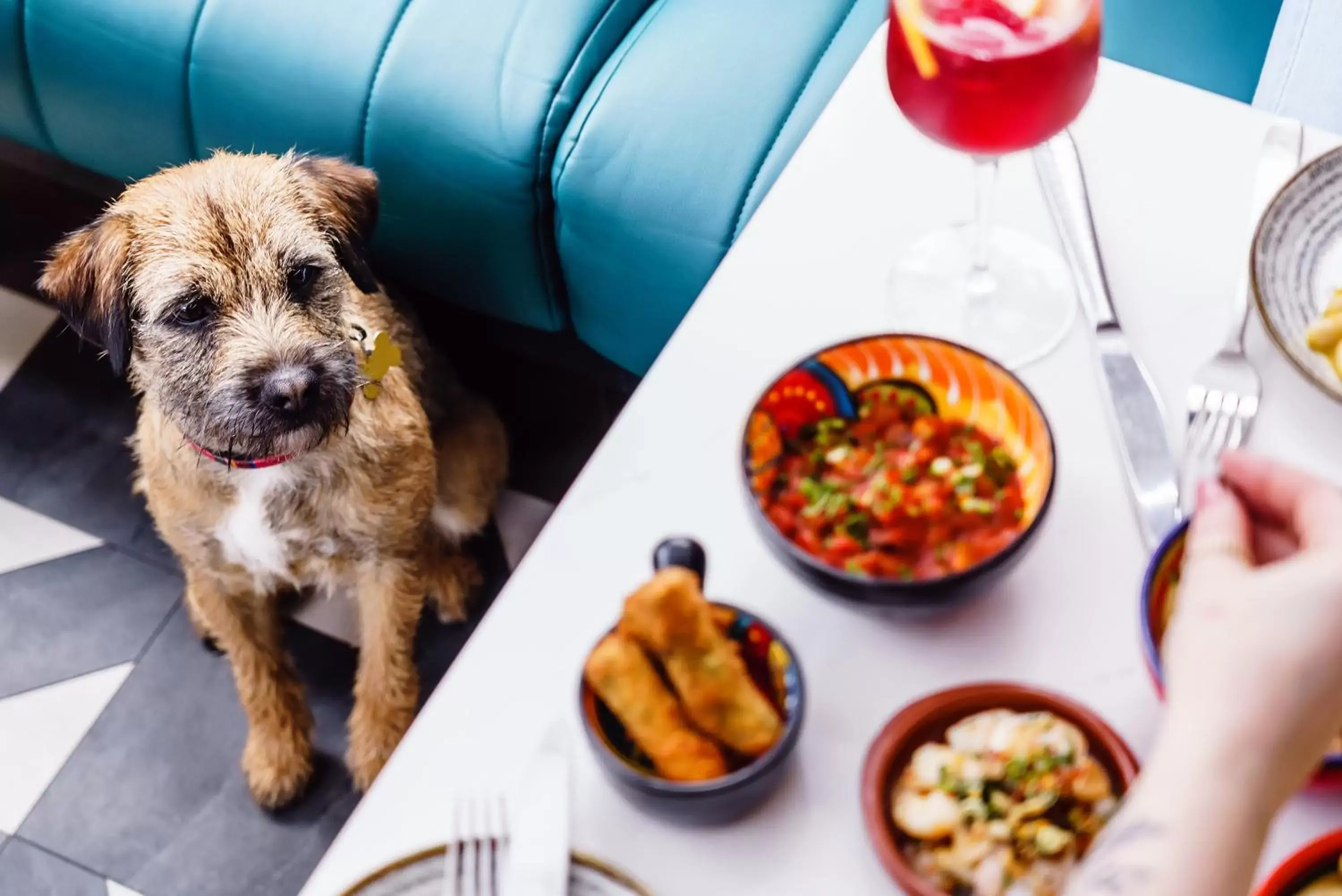 Pets in Skiddaw Hotel