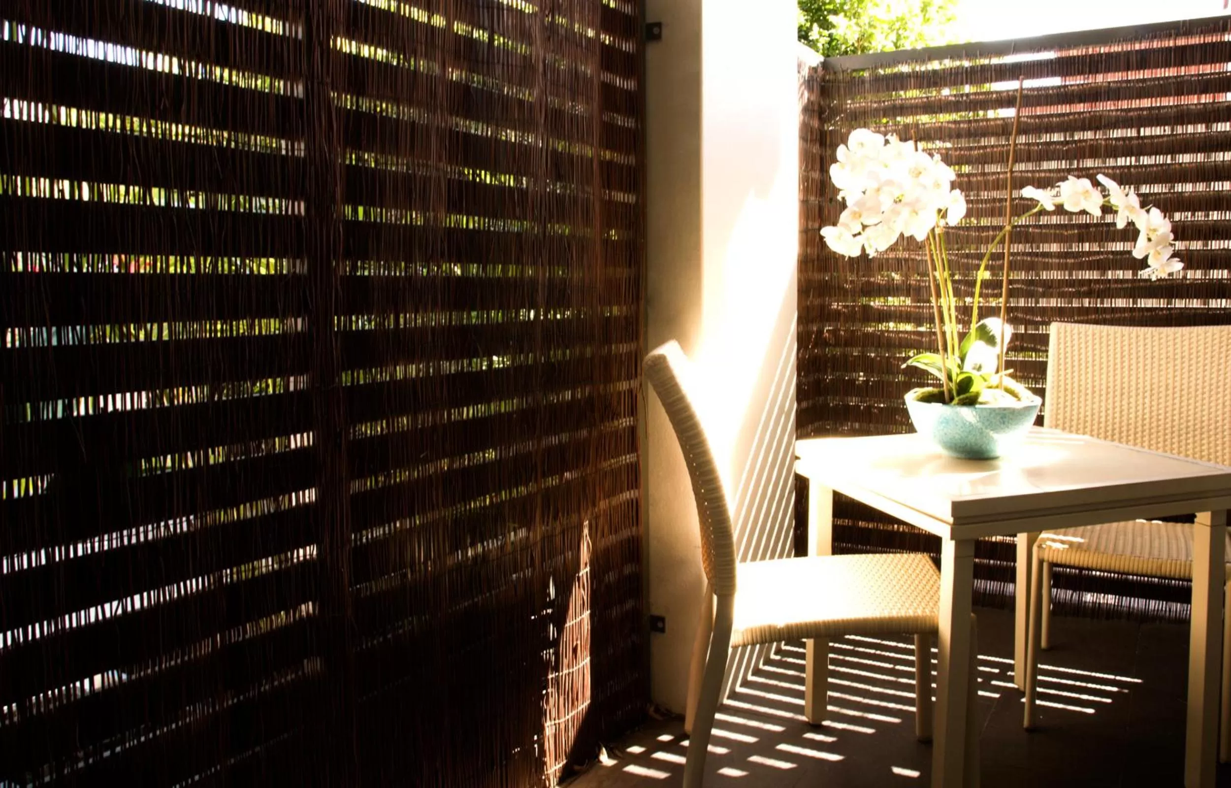 Balcony/Terrace in The Blenheim