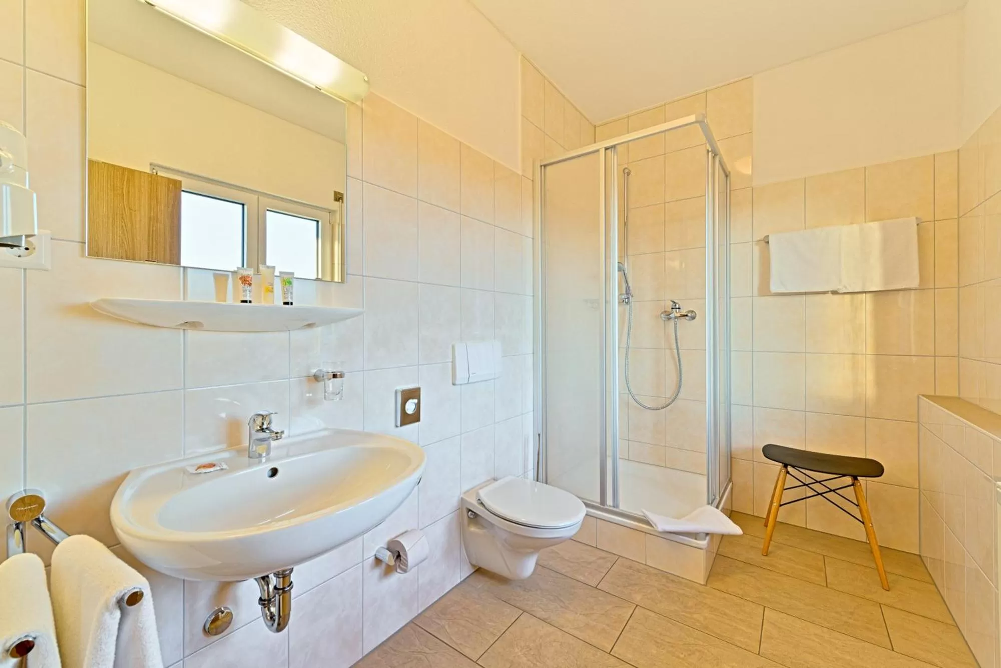 Toilet in Sapia Hotel St. Fridolin