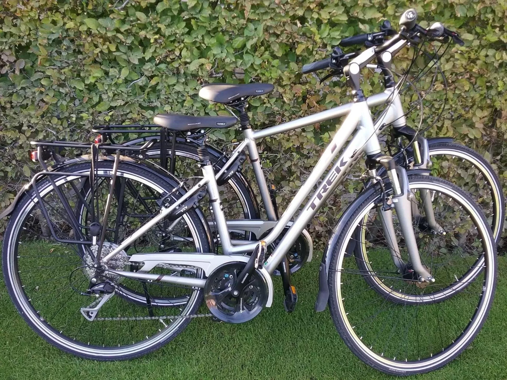 Garden in B&B Bloemenweelde