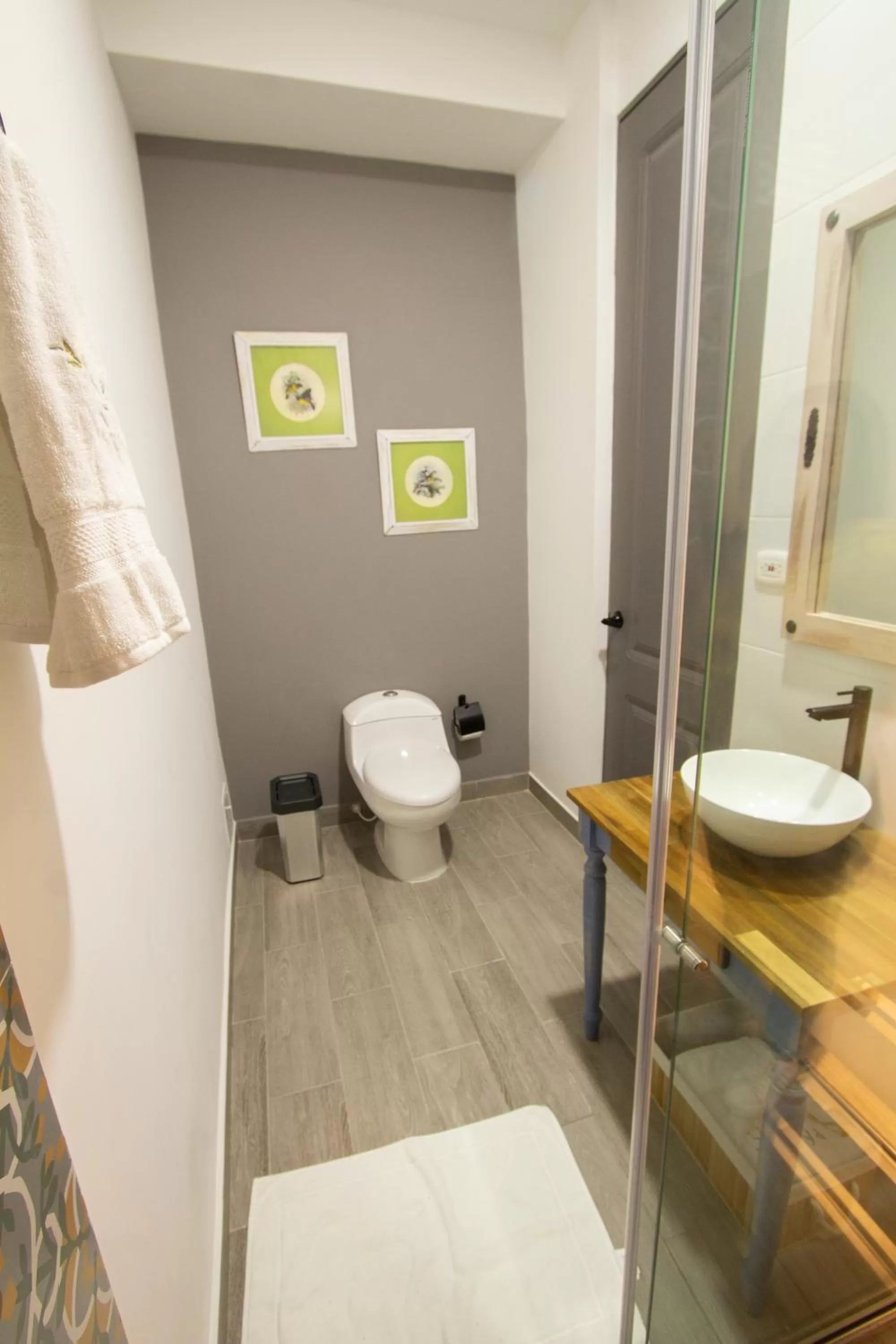 Toilet in Hotel Pajara Pinta