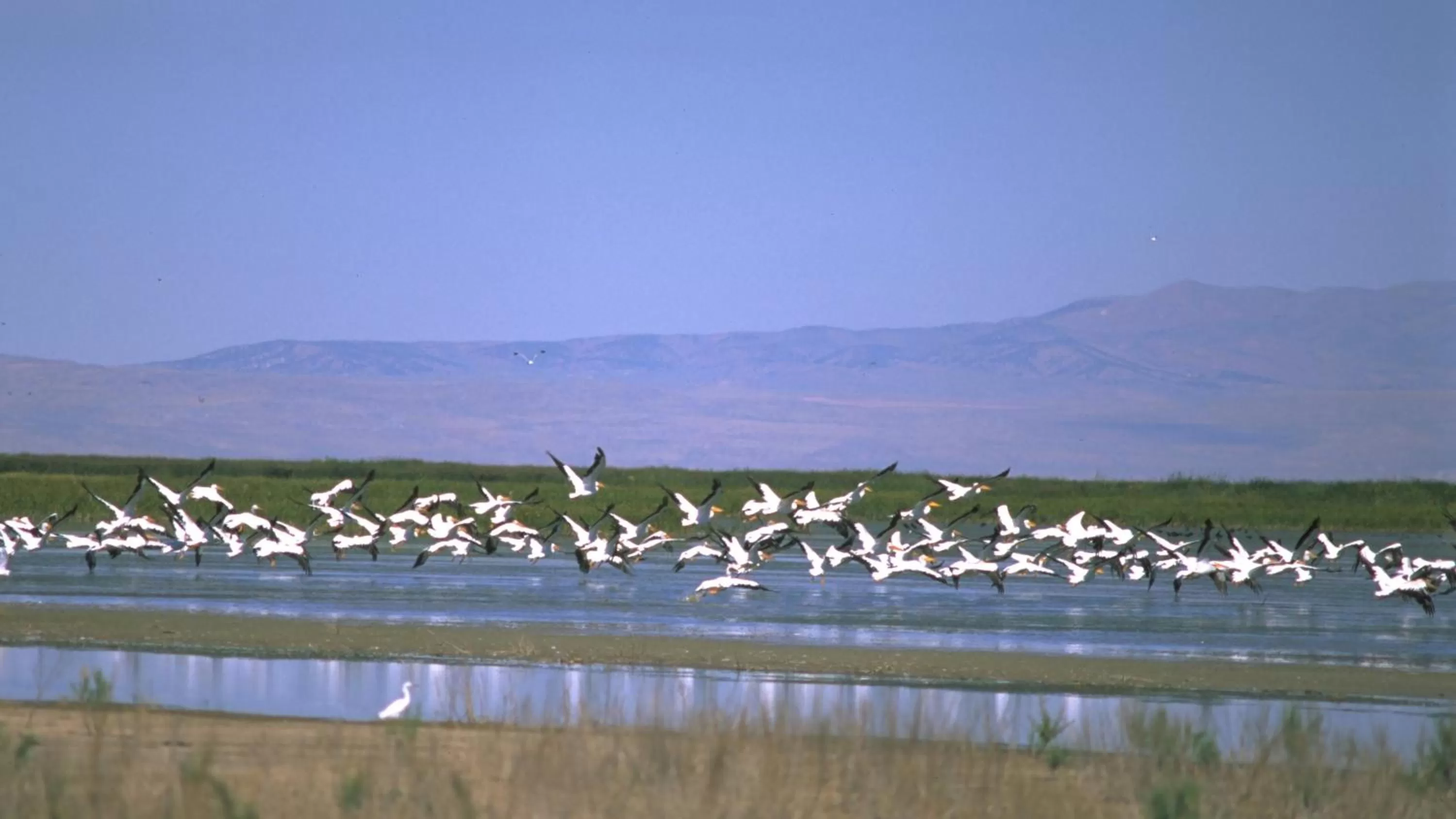 Nearby landmark in Holiday Inn Express & Suites - Brigham City - North Utah by IHG