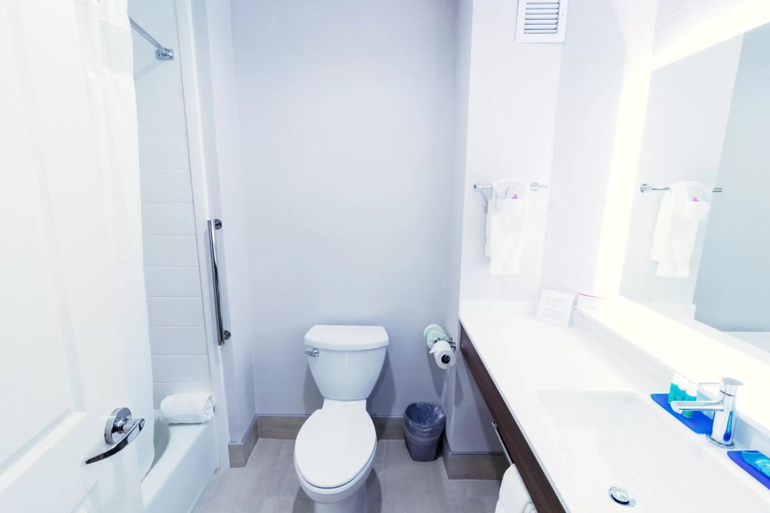 Bathroom in Holiday Inn Express Hotel & Suites Crestview South I-10, an IHG Hotel