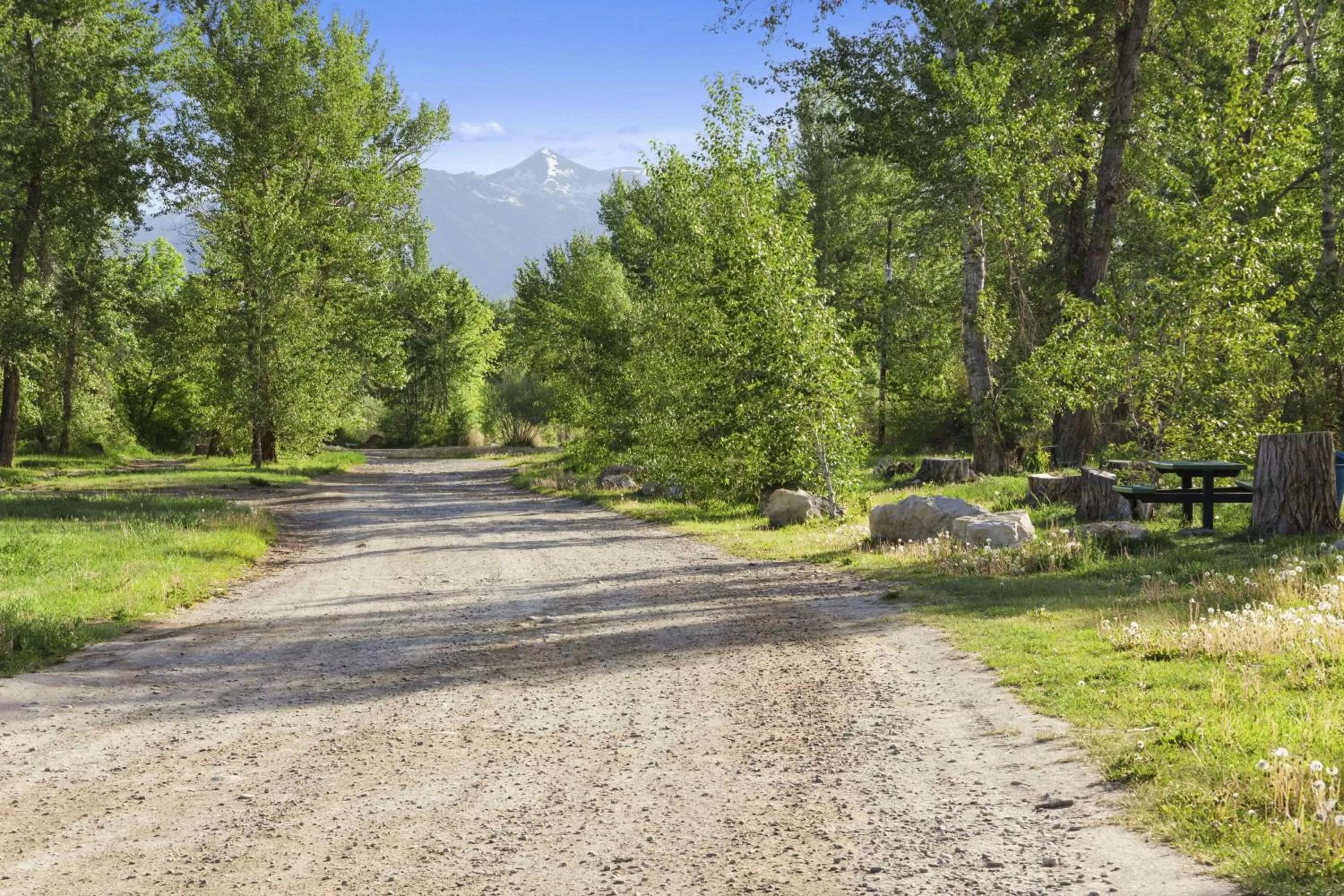 Property building in Super 8 by Wyndham Salmon