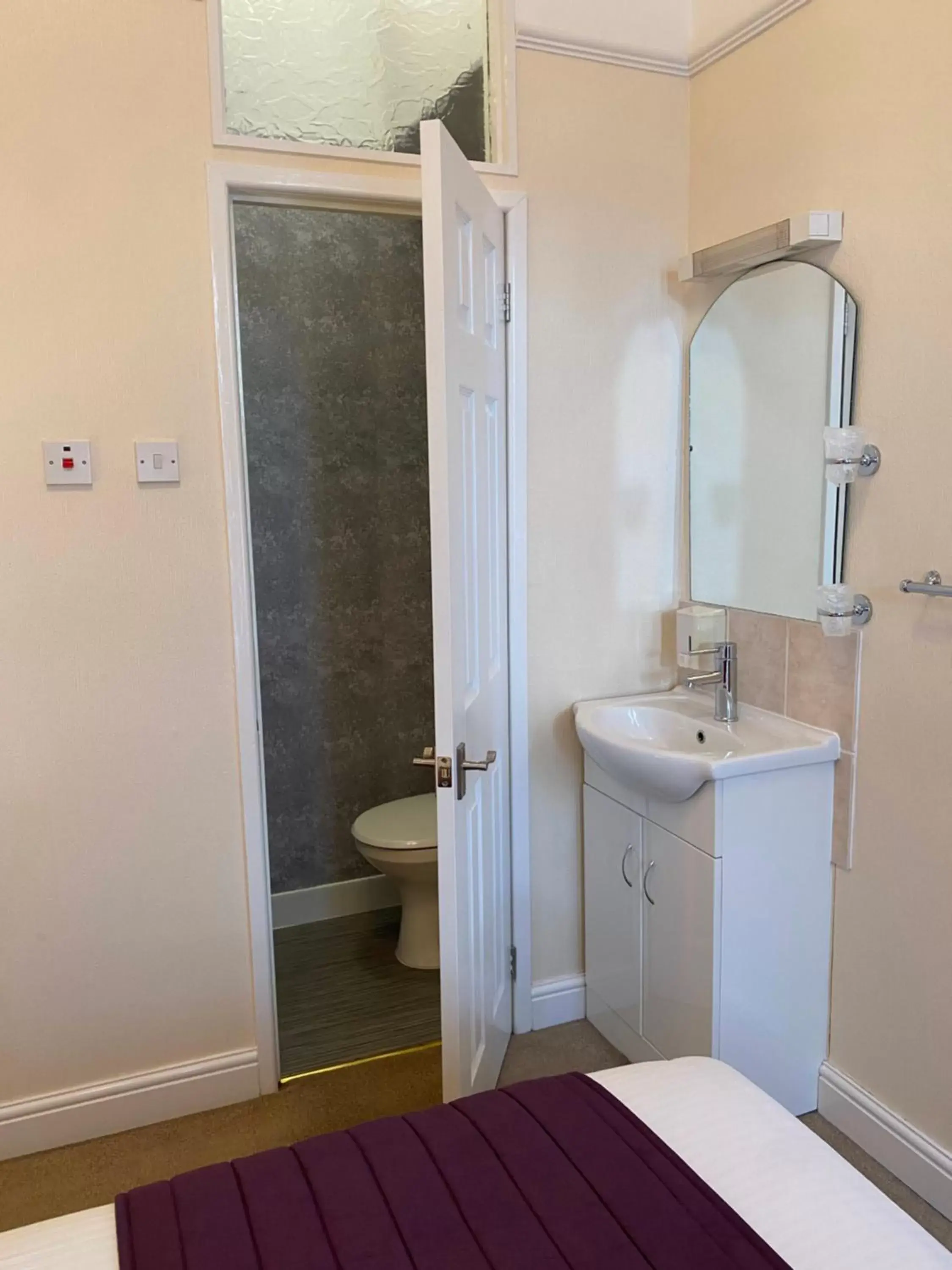 Toilet, Bathroom in Paignton Court