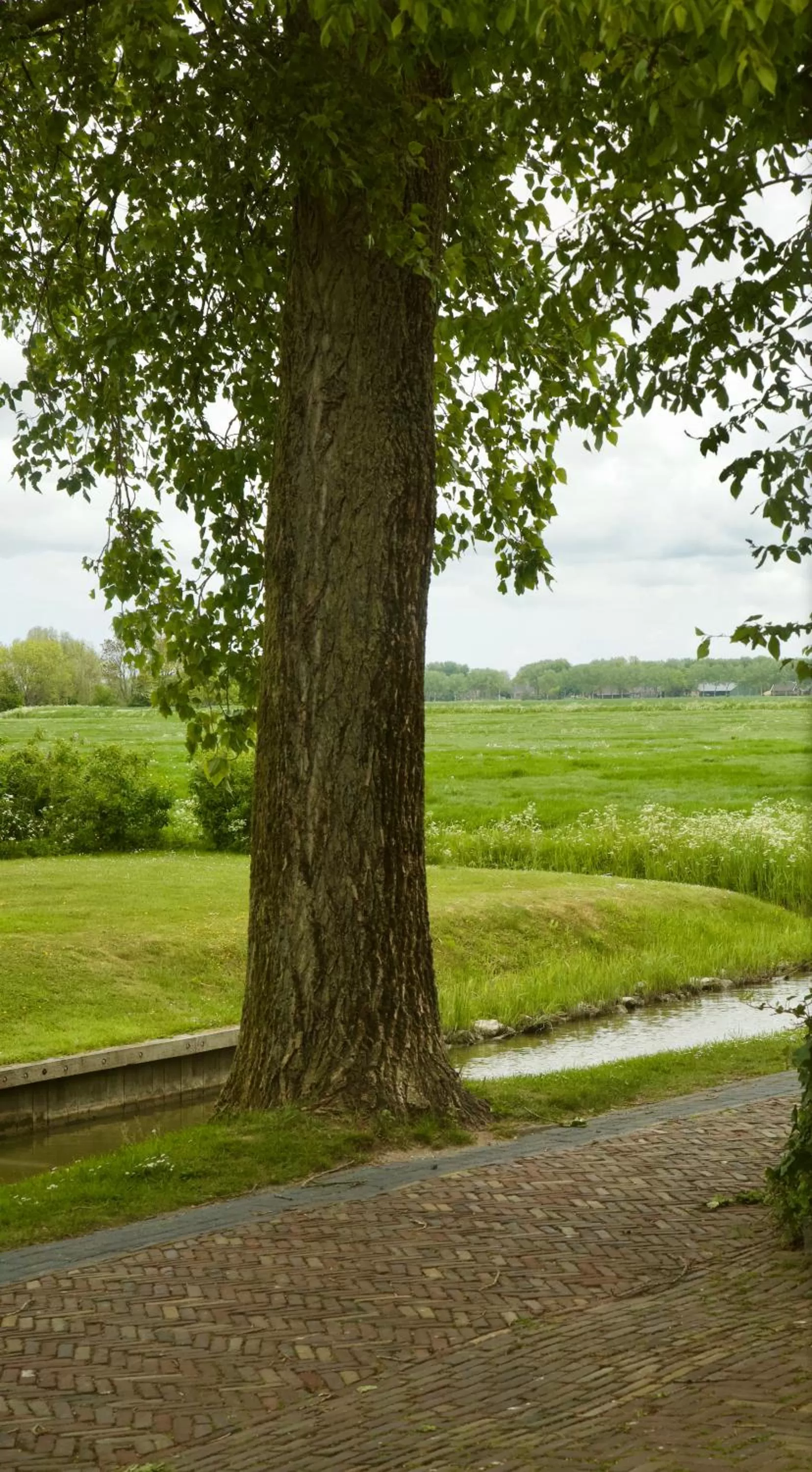 View (from property/room) in Logement Alde Leie