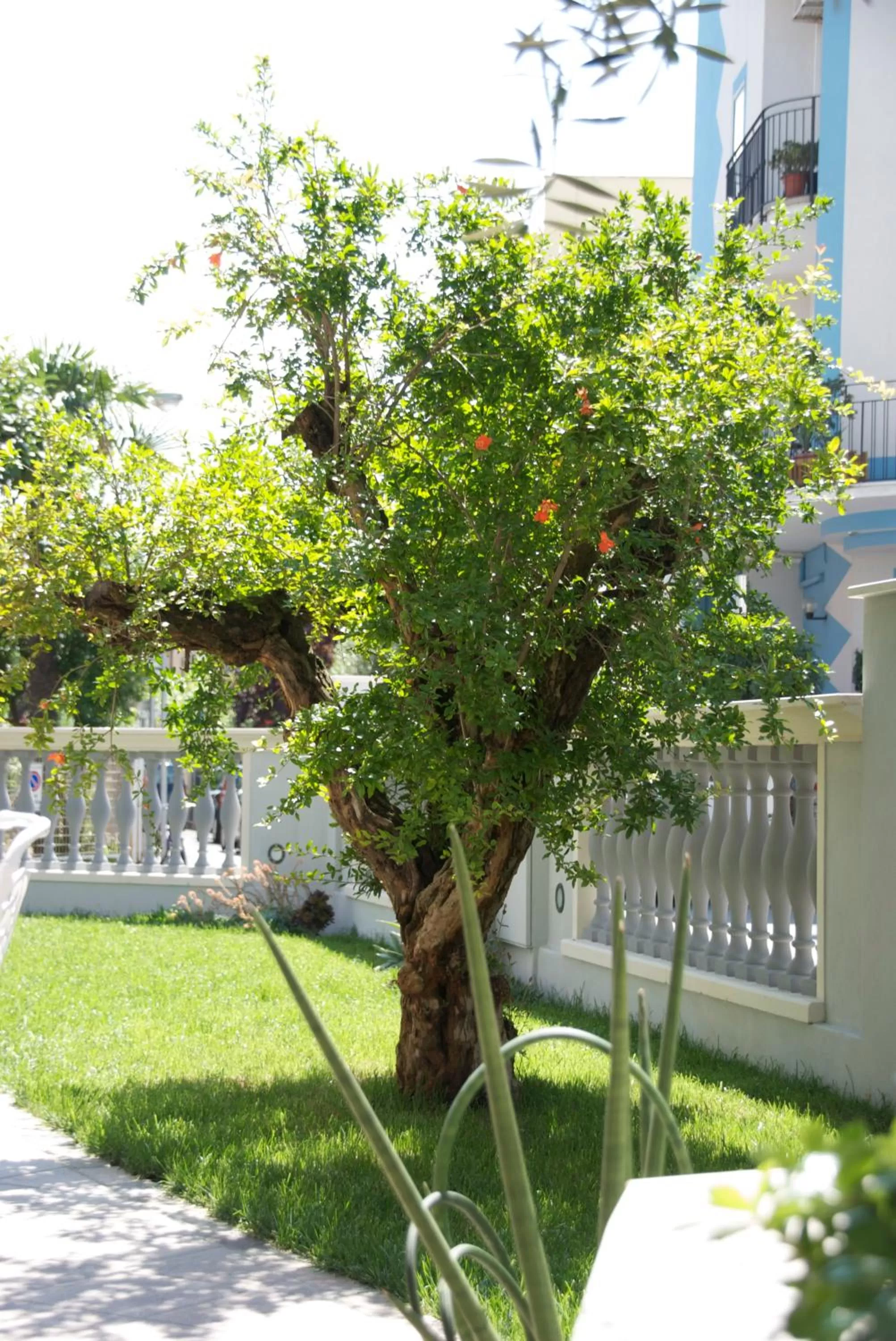 Garden in Sovrana Hotel & SPA