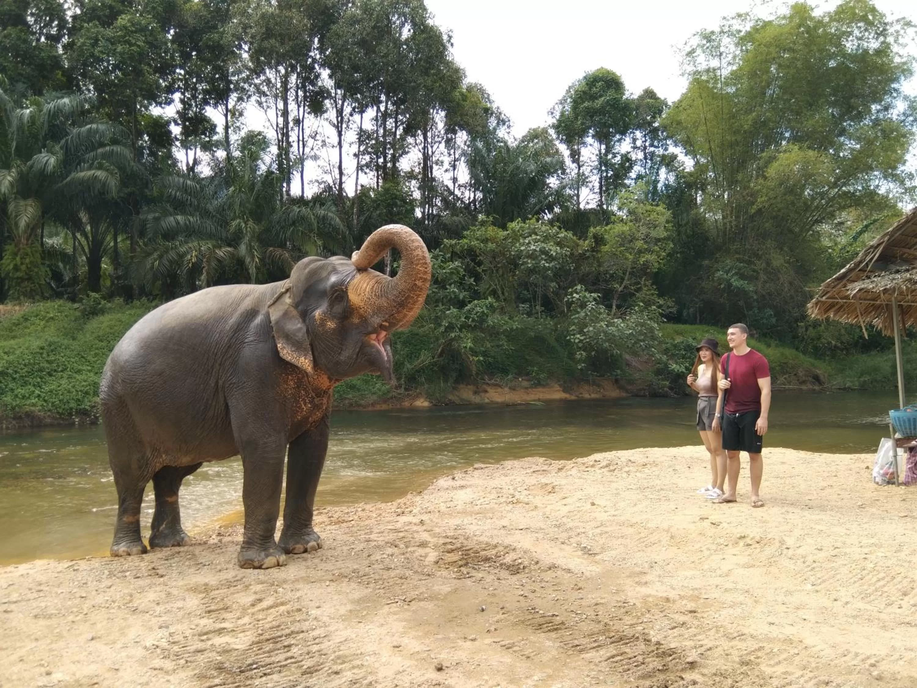 Animals in Khao Sok River & Jungle Resort