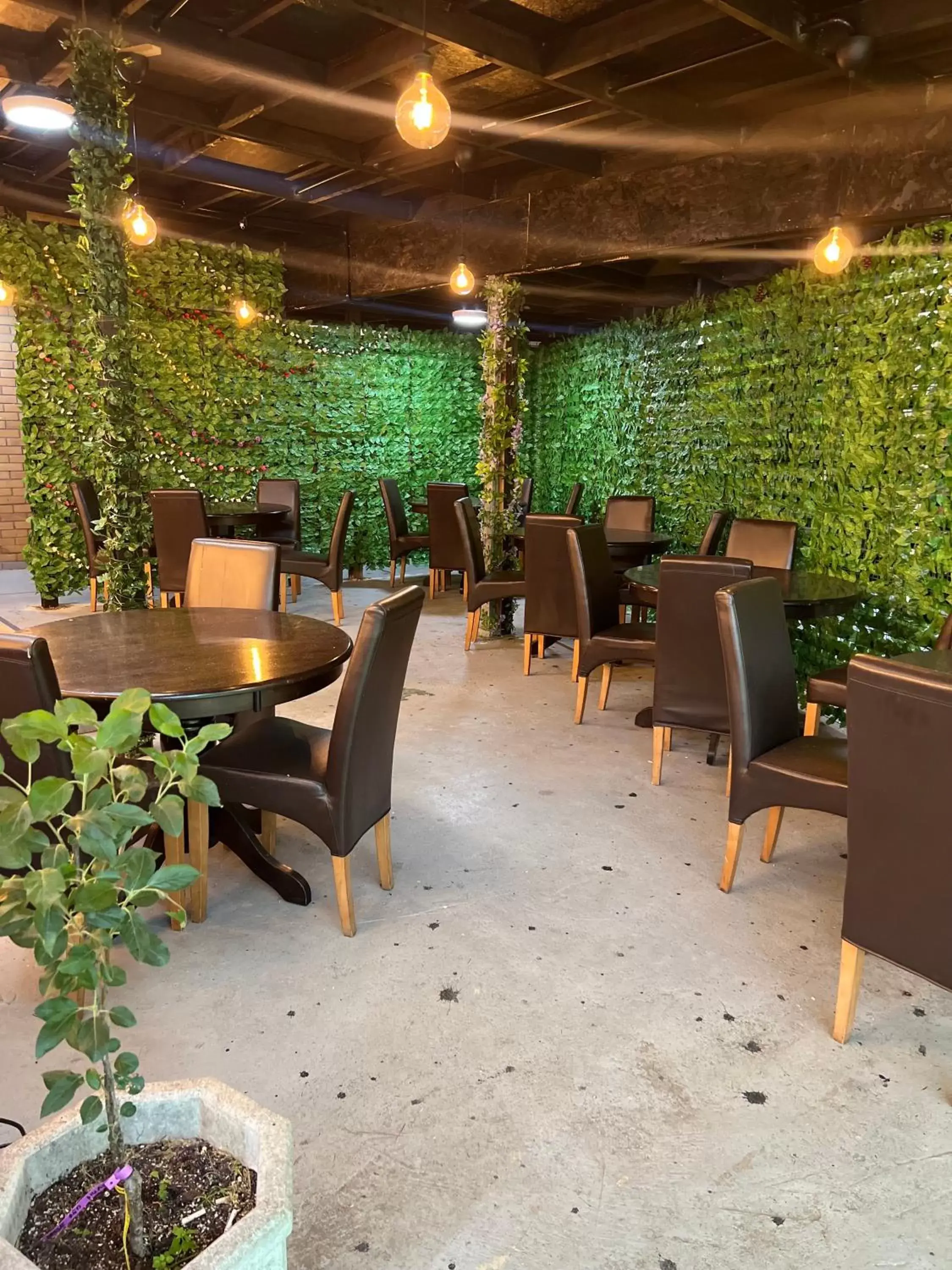 Garden, Restaurant/Places to Eat in Stay Inn Express