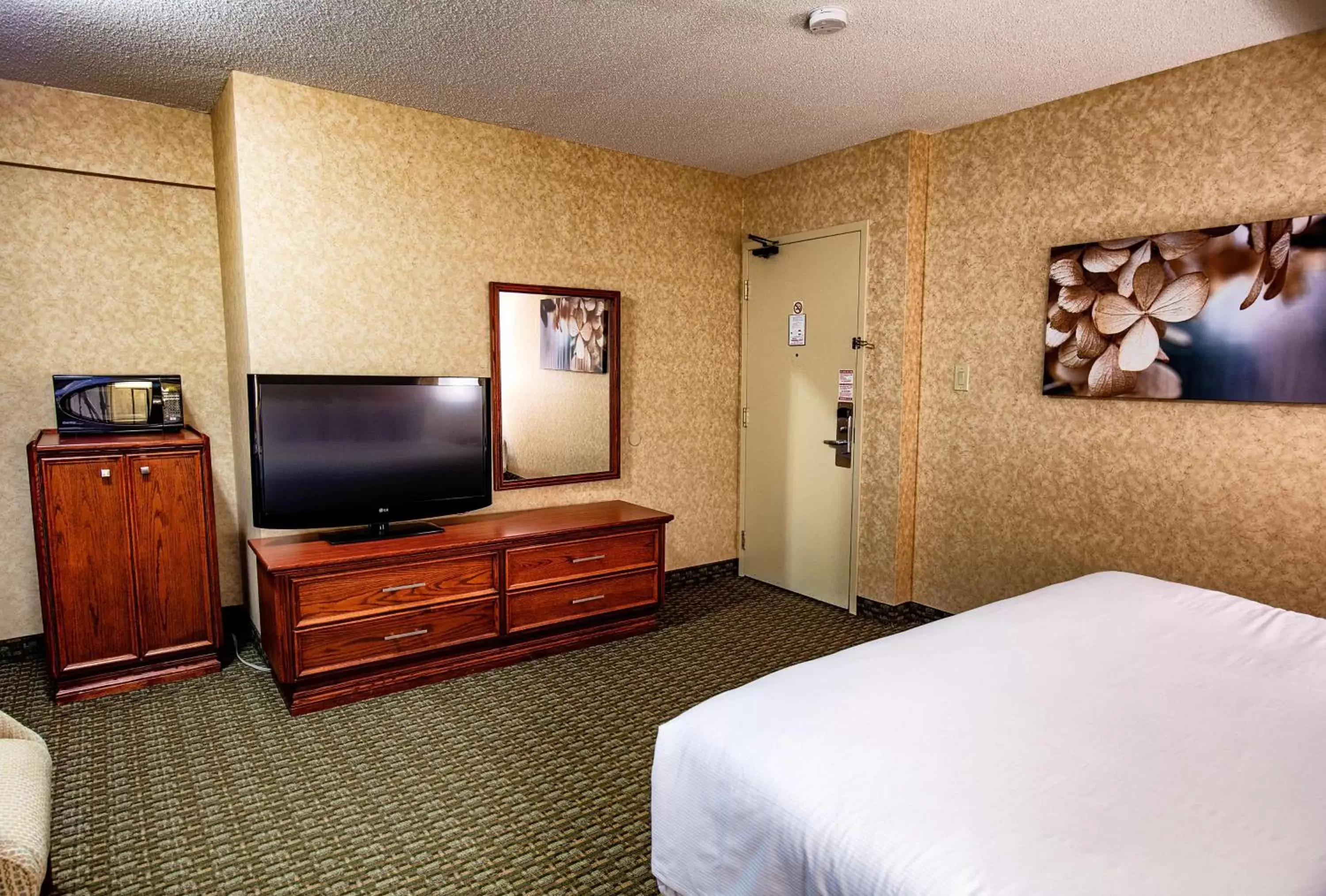 Photo of the whole room, TV/Entertainment Center in Best Western Voyageur Place Hotel