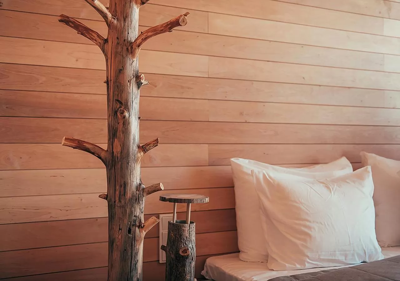 Photo of the whole room in Hotel AX