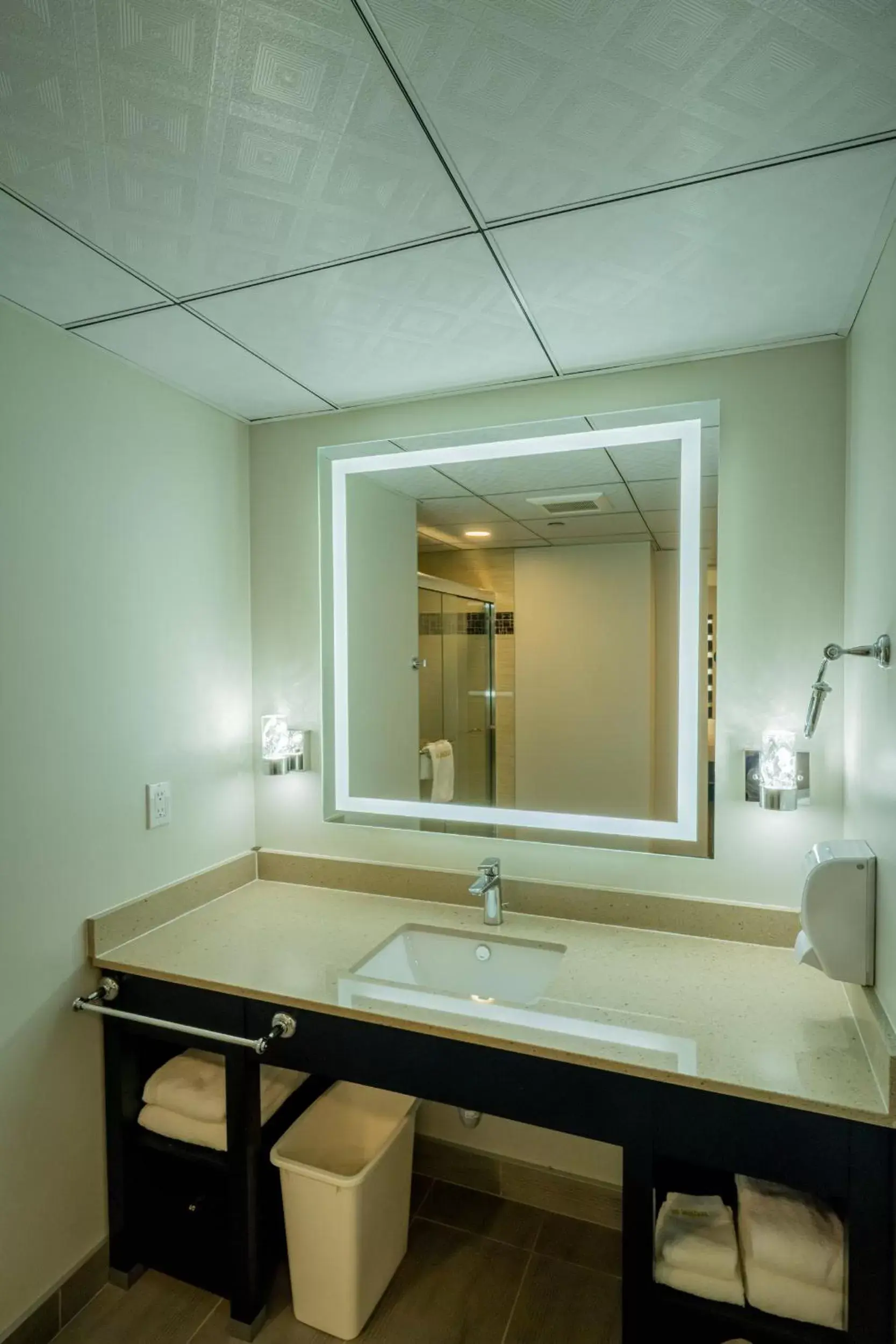 Bathroom in Quality Inn Sunshine Suites