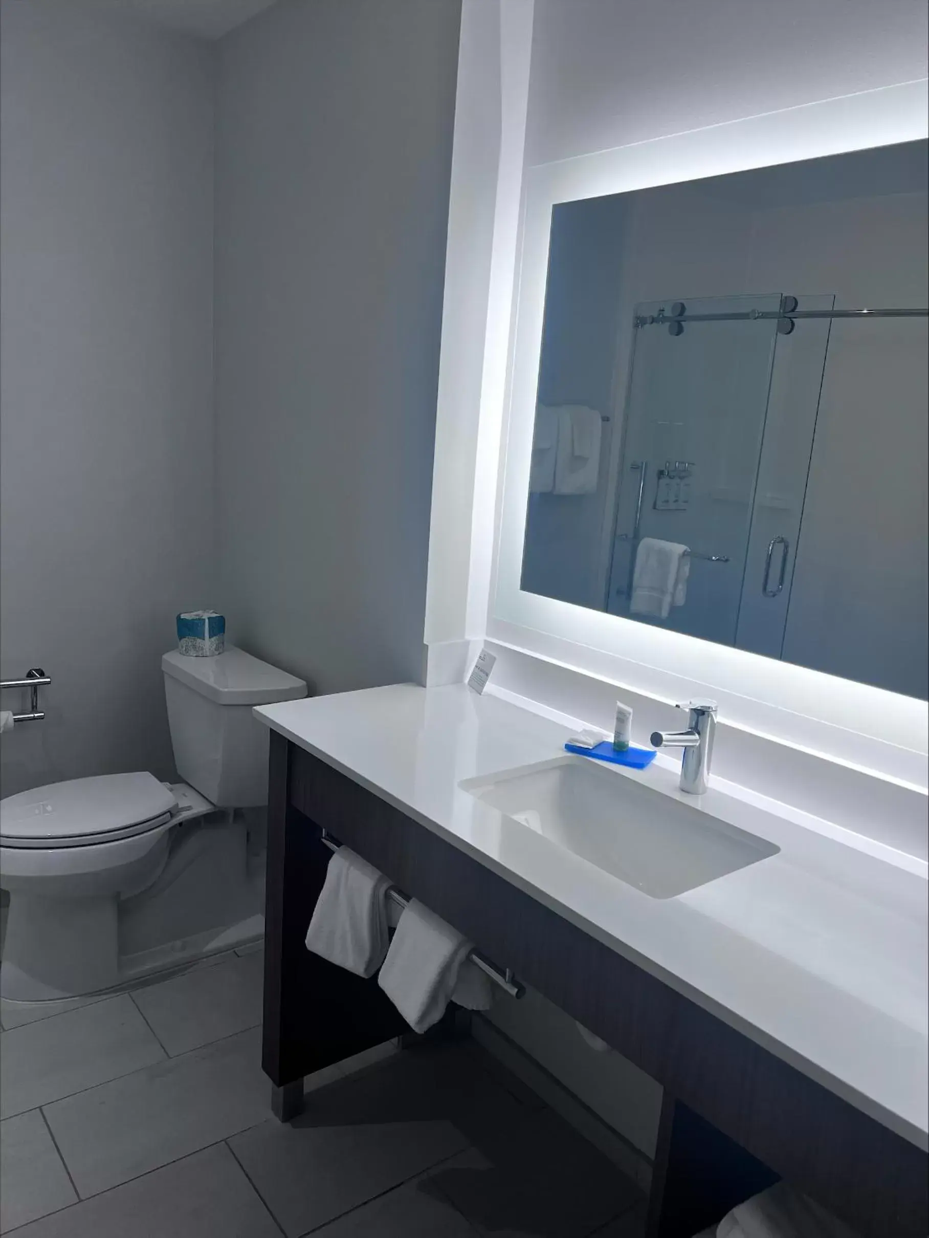 Bathroom in Holiday Inn Express & Suites - Dahlonega - University Area, an IHG Hotel