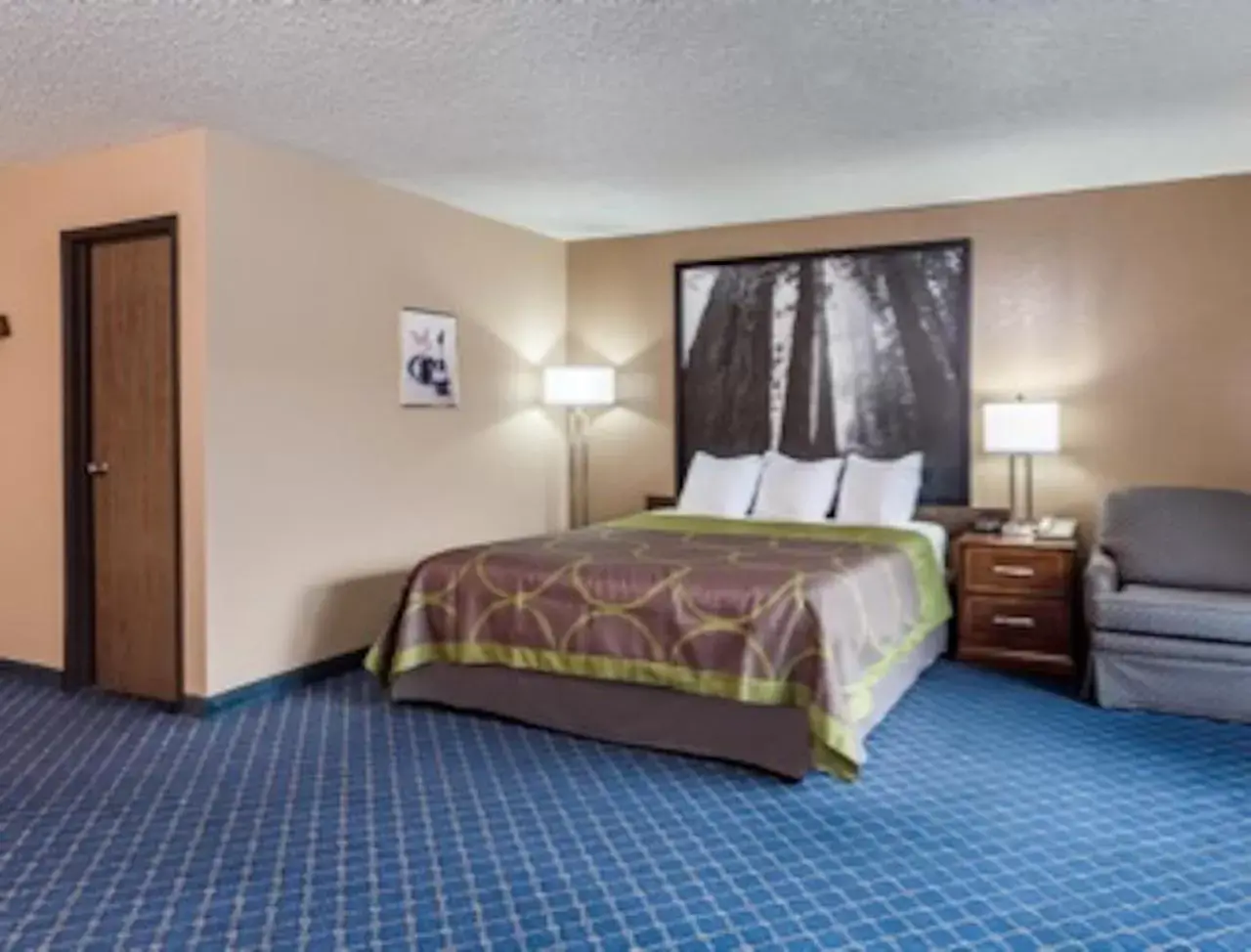 Photo of the whole room, Bed in Super 8 by Wyndham Arcata