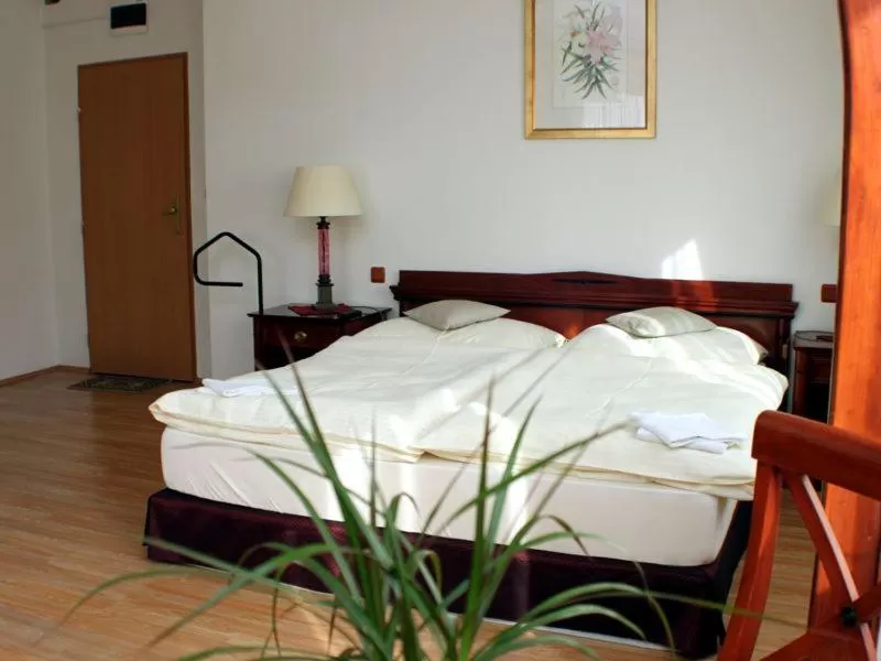 Bed in U Dobrého Lva