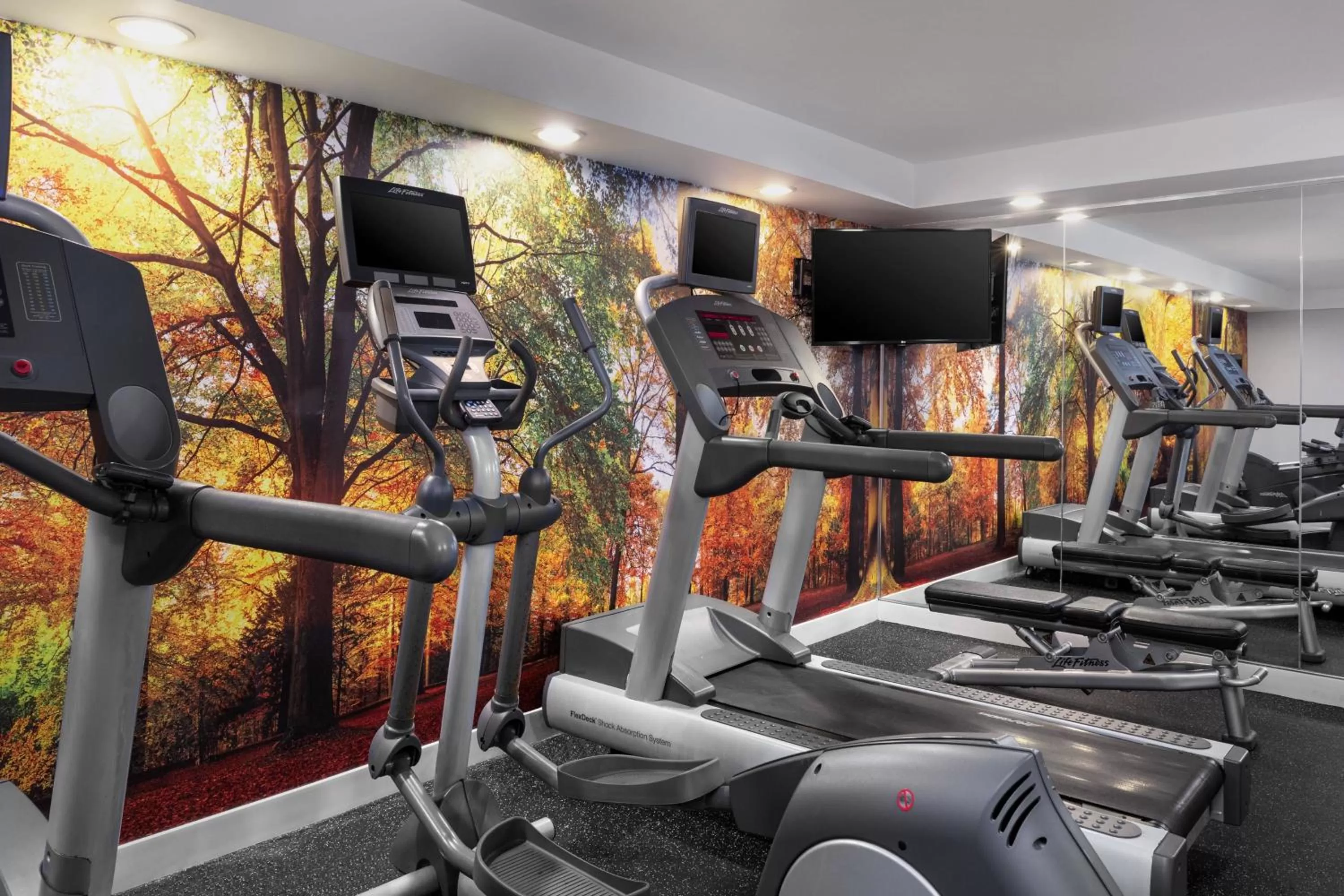 Fitness centre/facilities in Fairfield Inn & Suites by Marriott New York Manhattan/Chelsea