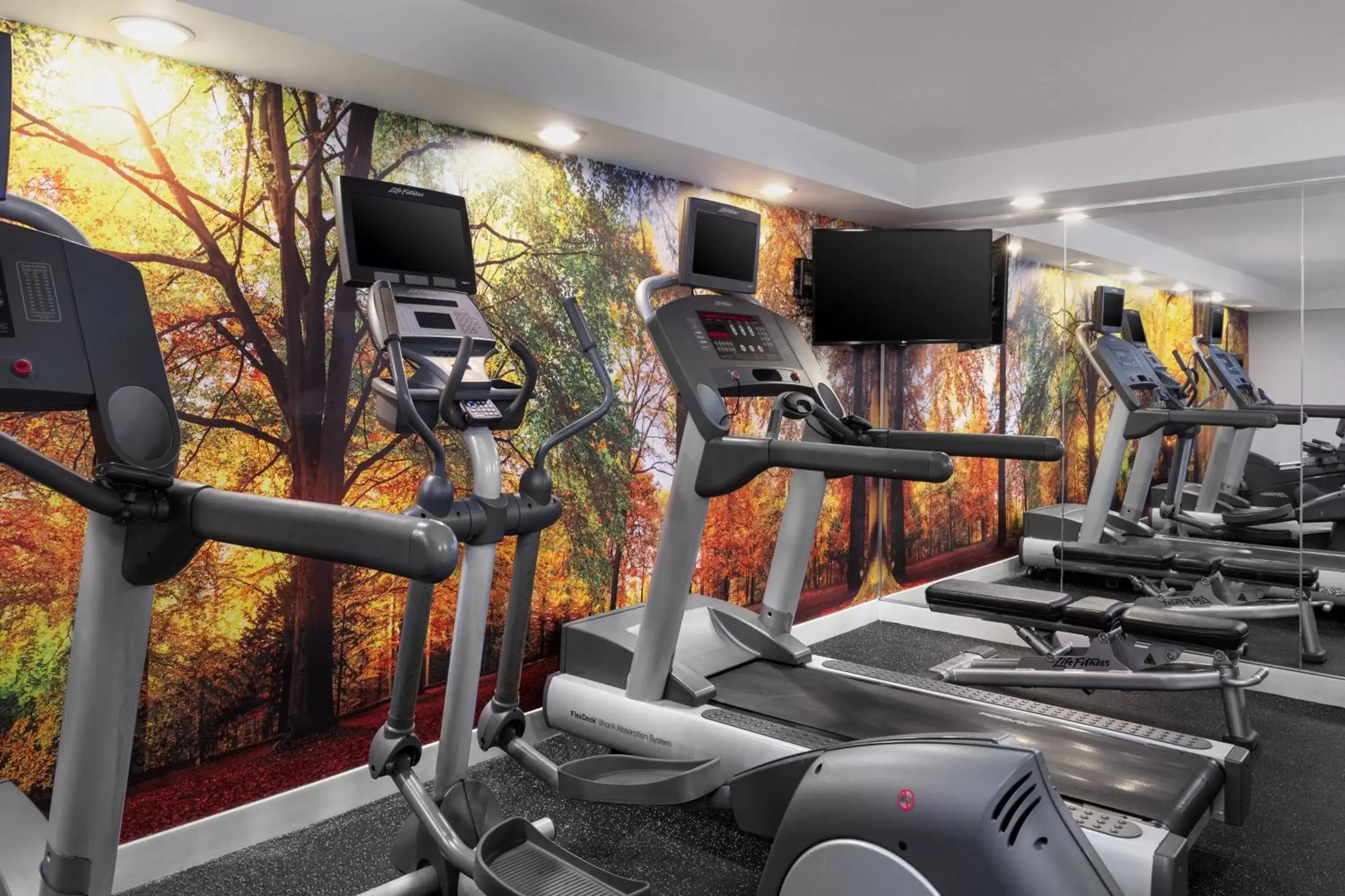 Fitness centre/facilities, Fitness Center/Facilities in Fairfield Inn & Suites by Marriott New York Manhattan/Chelsea