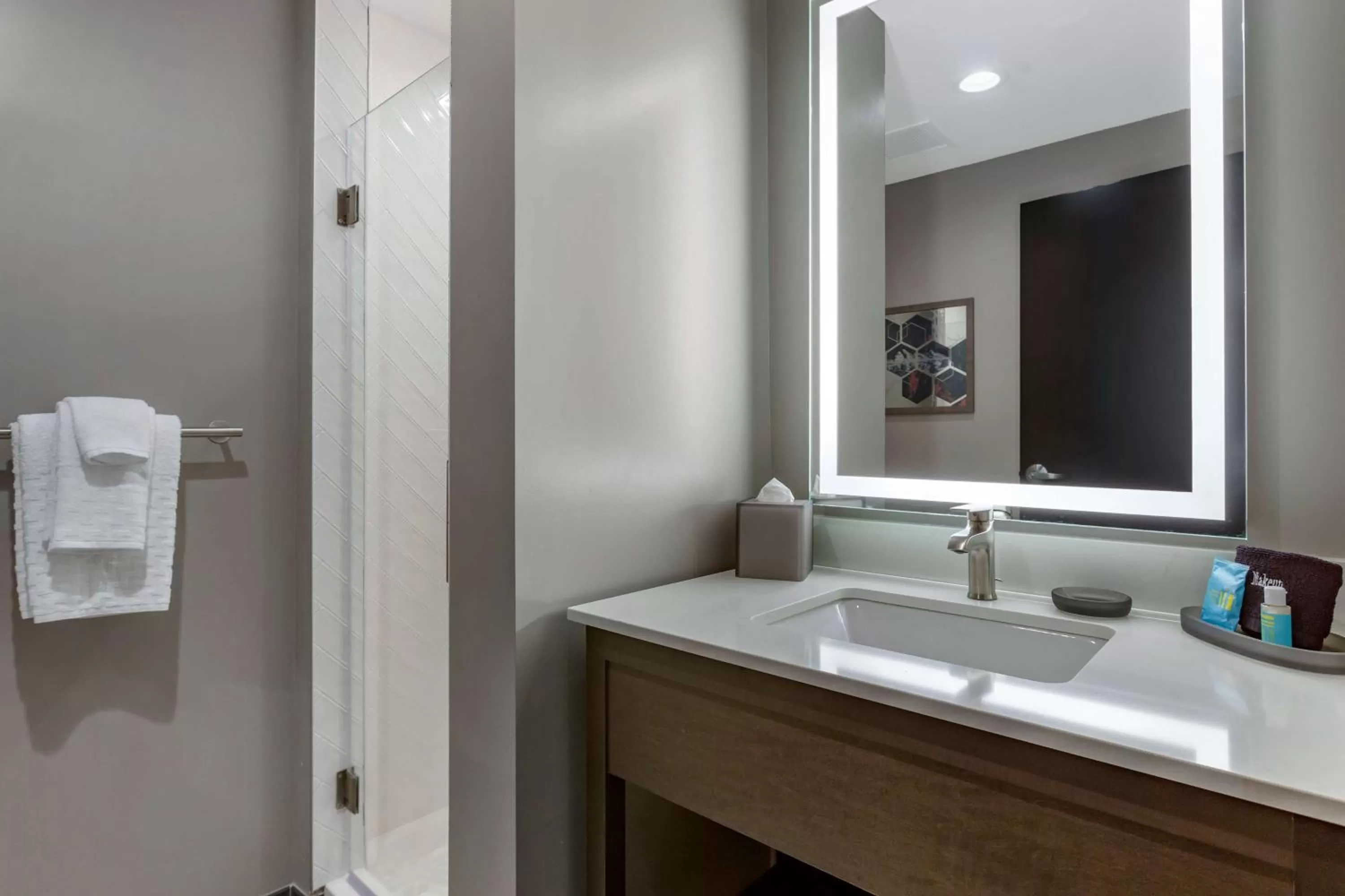 Bathroom in Vīb Hotel by Best Western Phoenix - Tempe